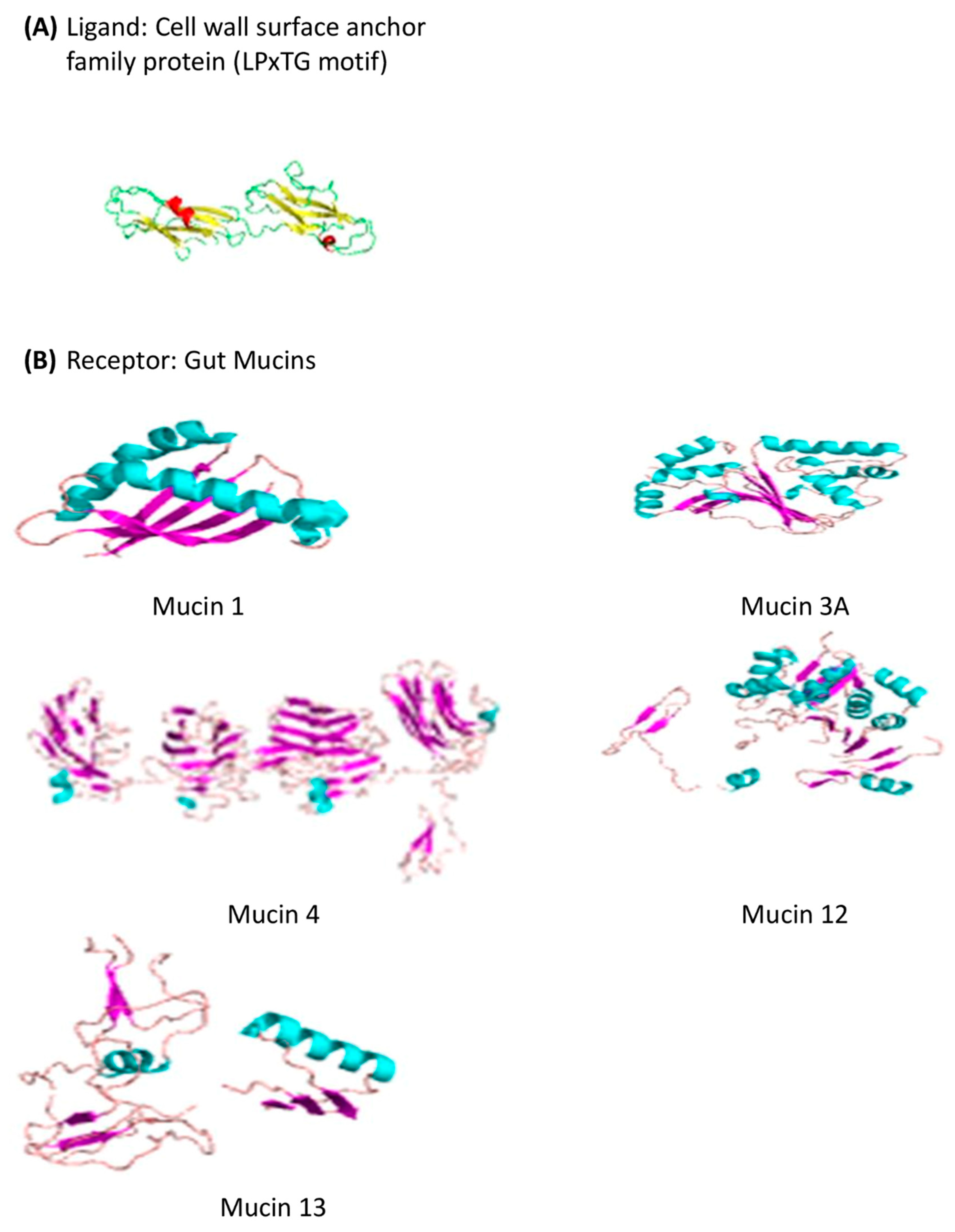 Microorganisms 12 01771 g004 Microorganisms 12 01771 g004