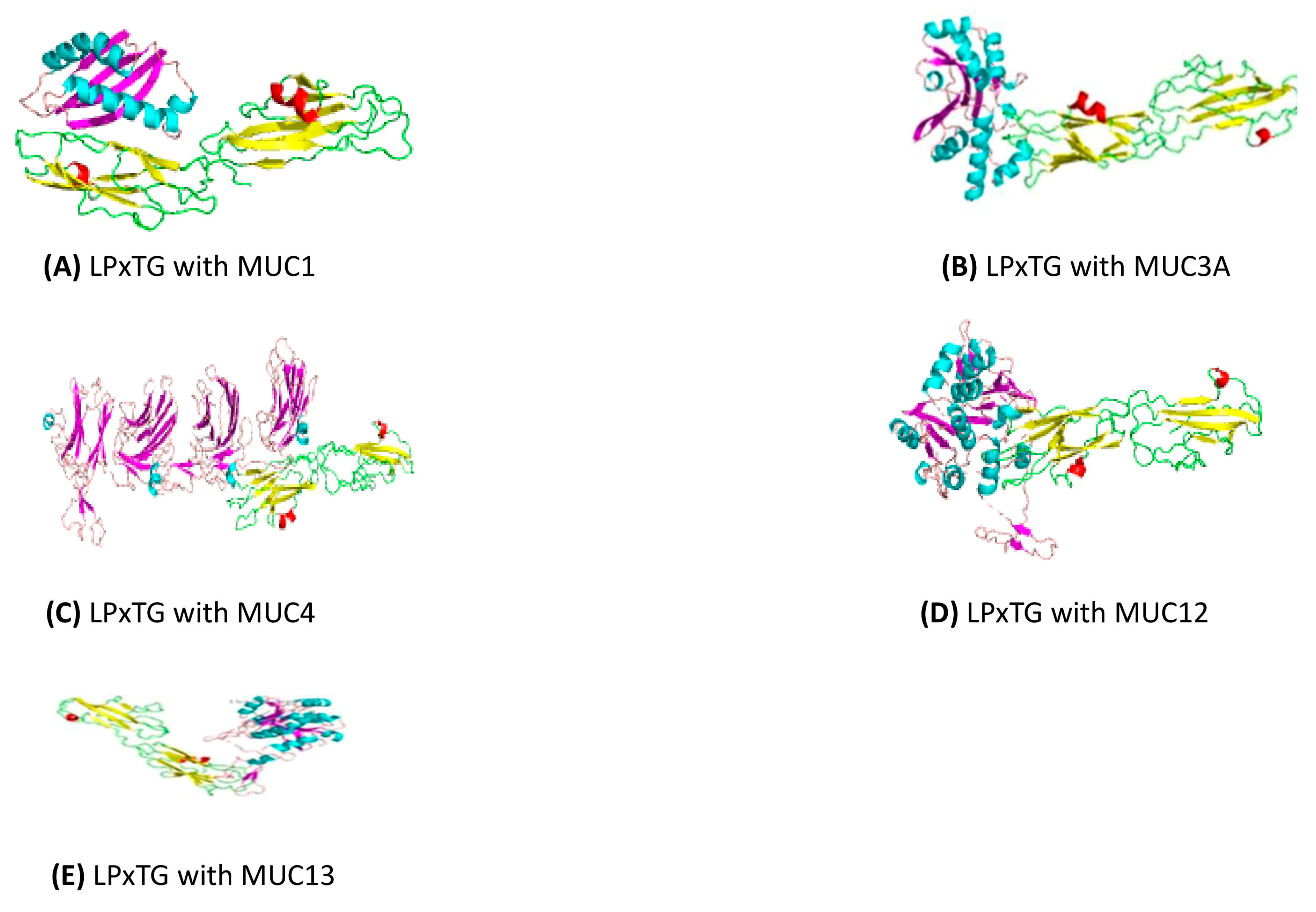Microorganisms 12 01771 g005 Microorganisms 12 01771 g005