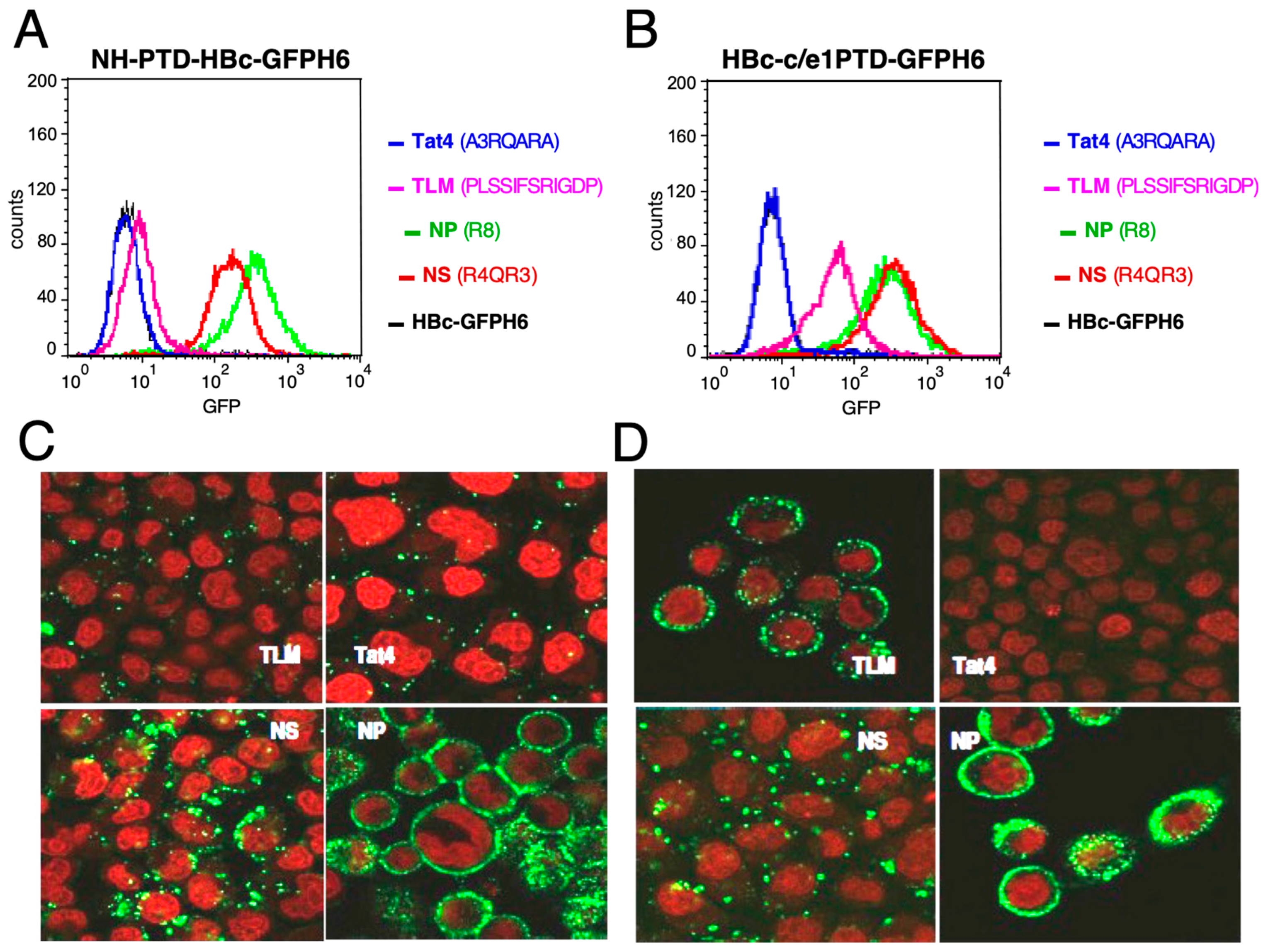 Microorganisms 12 01776 g002