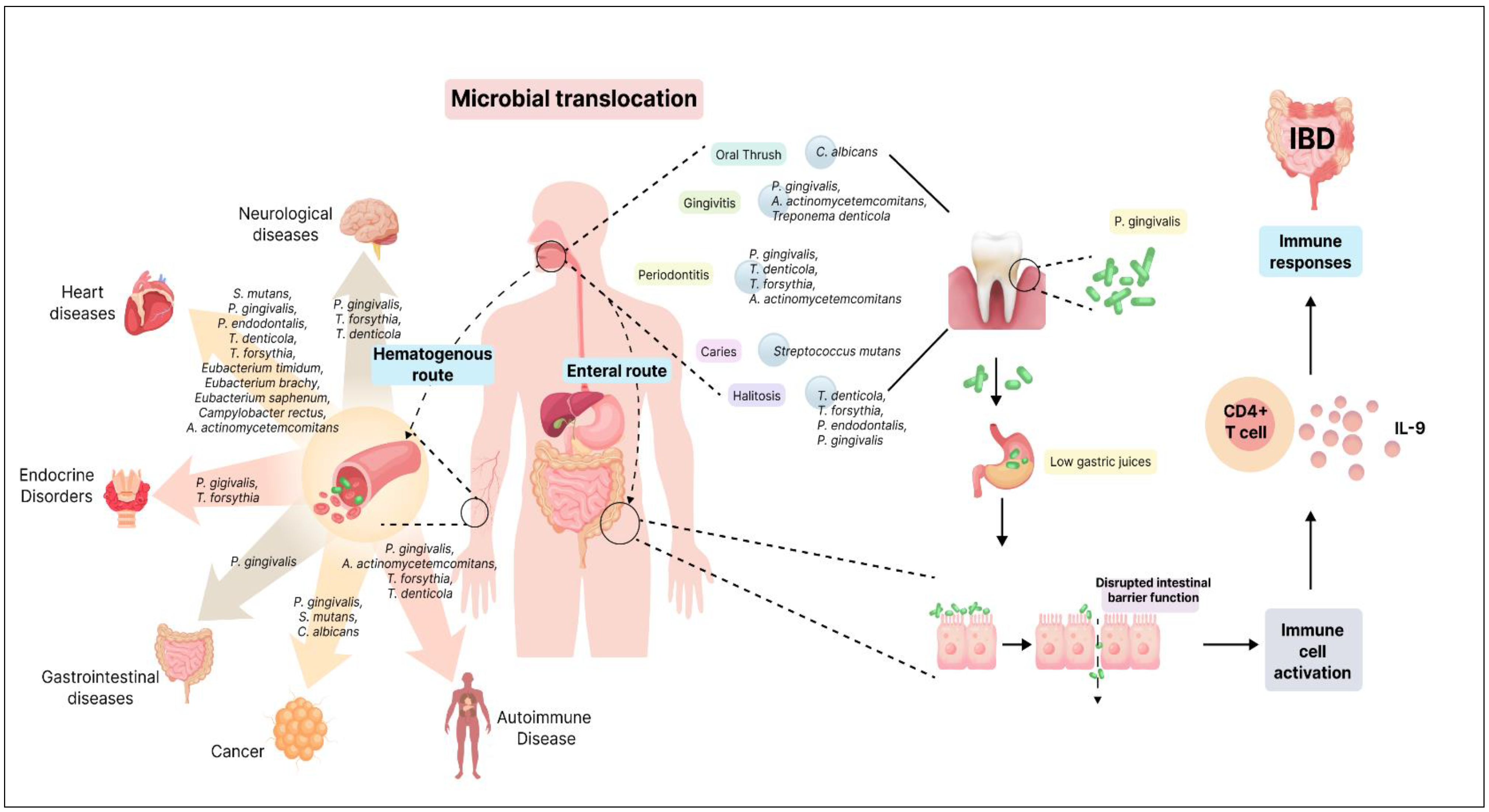 Microorganisms 12 01797 g001