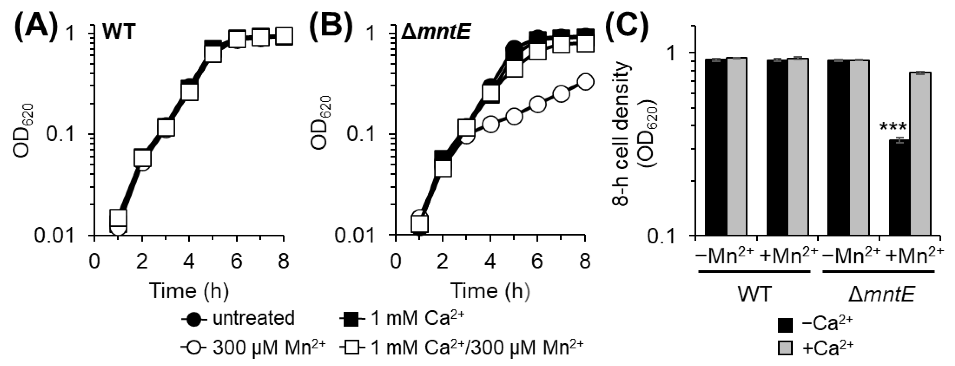 Microorganisms 12 01810 g001