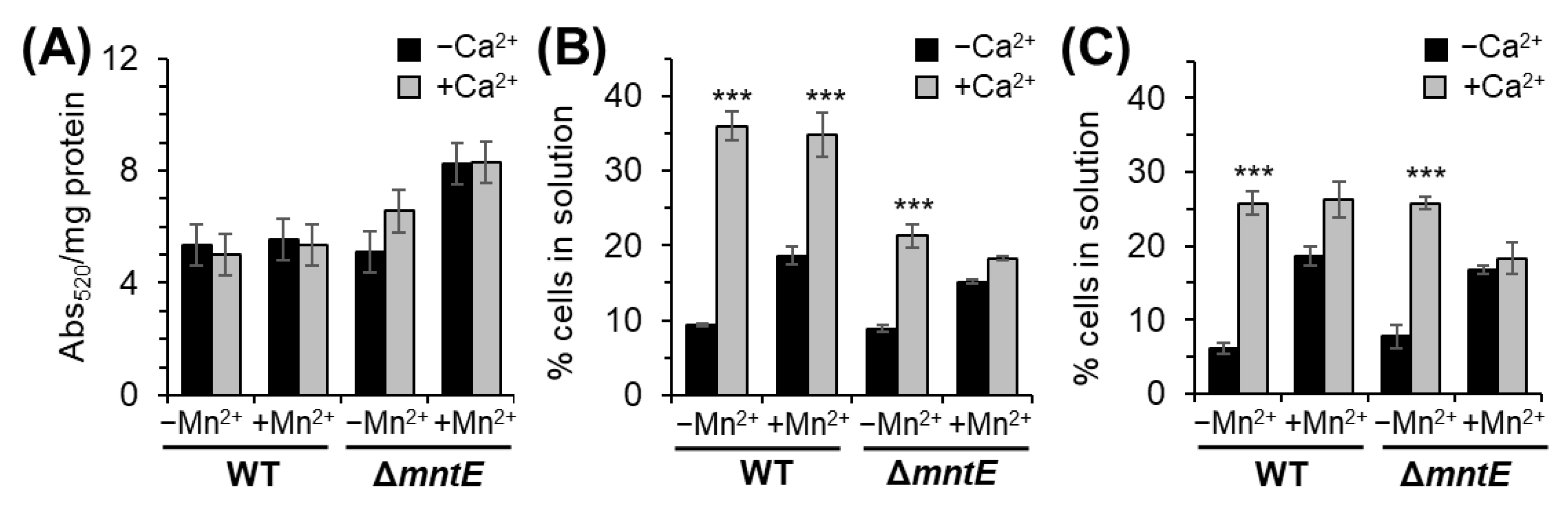 Microorganisms 12 01810 g005