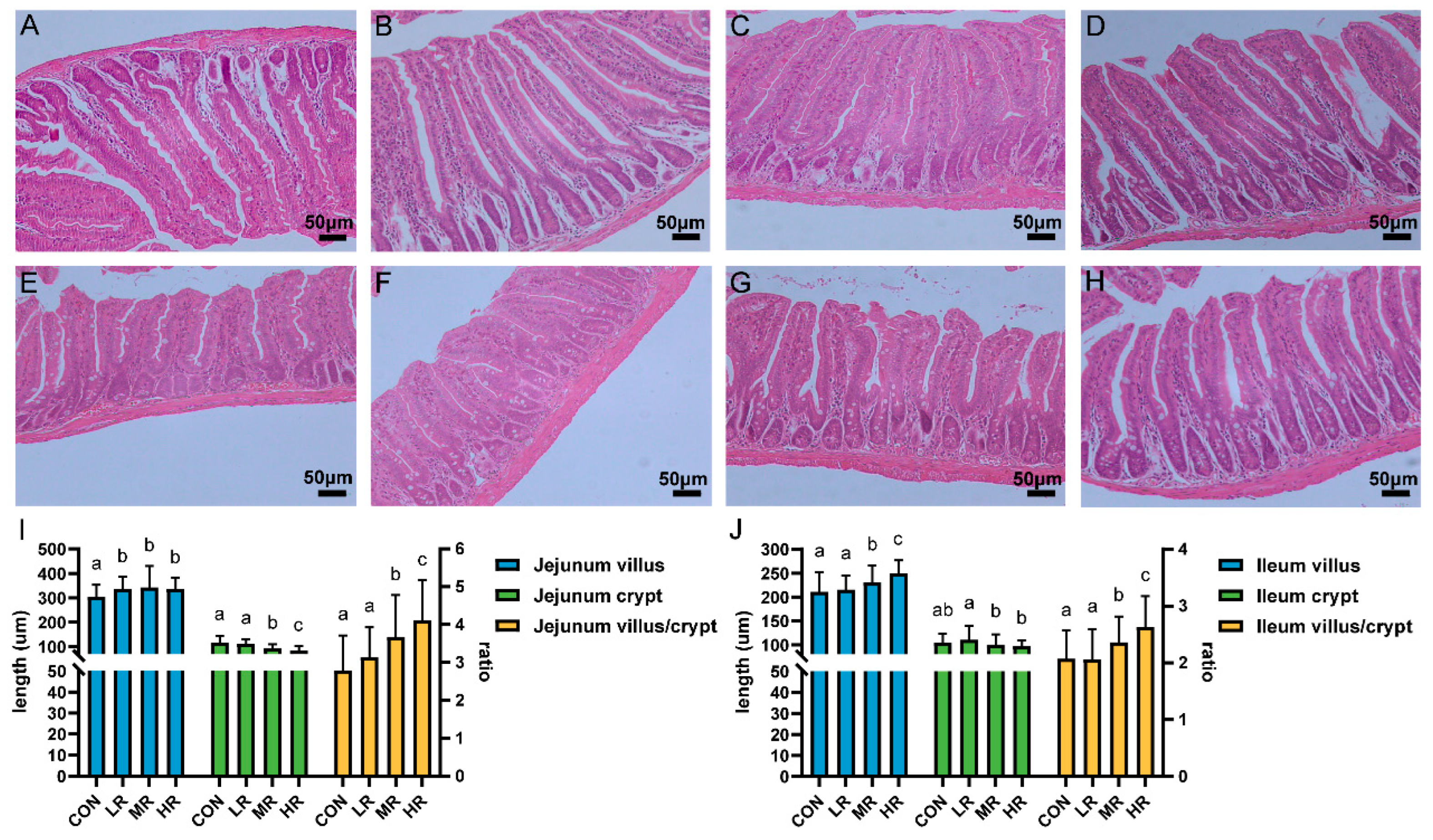 Microorganisms 12 01811 g007
