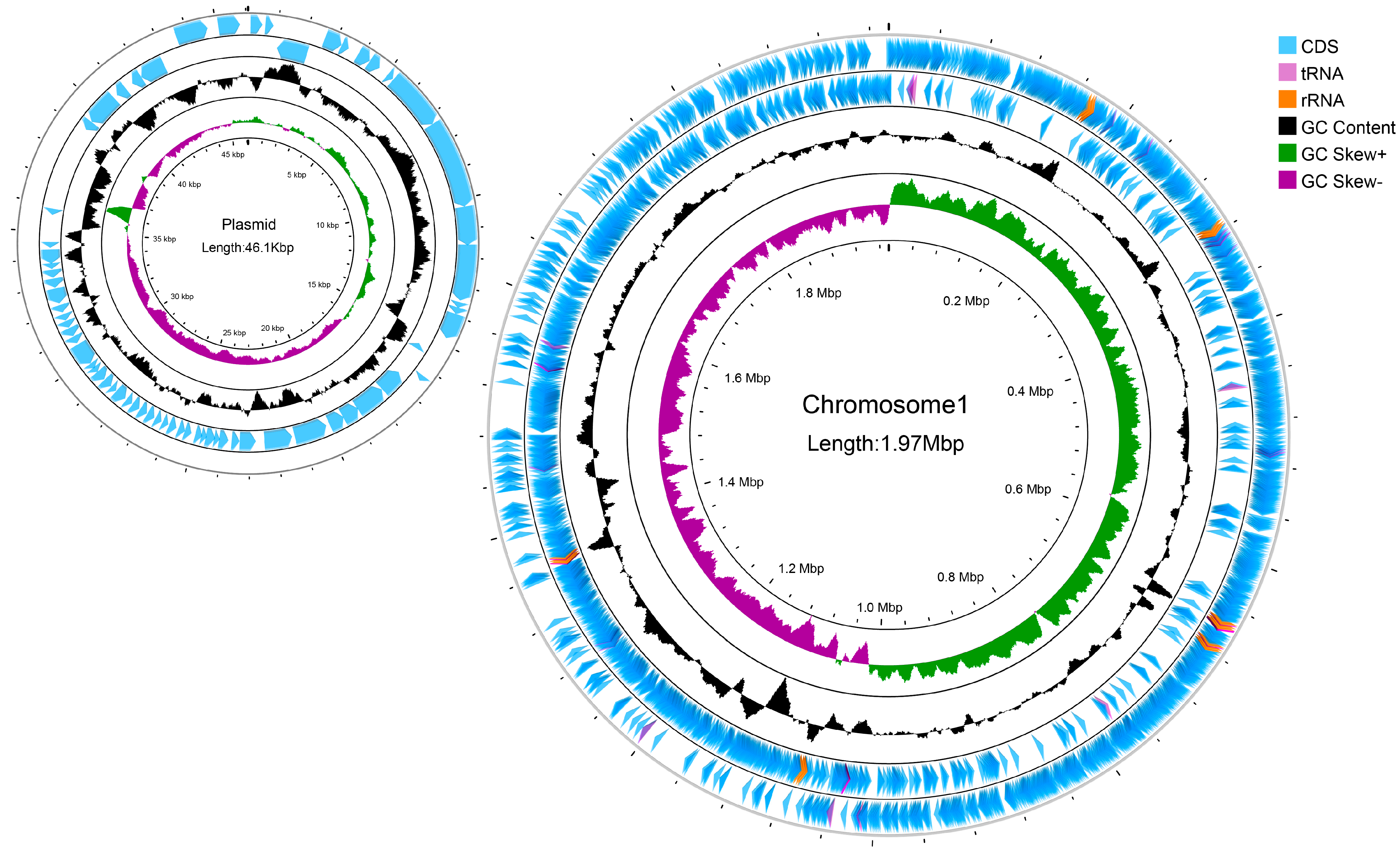 Microorganisms 12 01811 g008