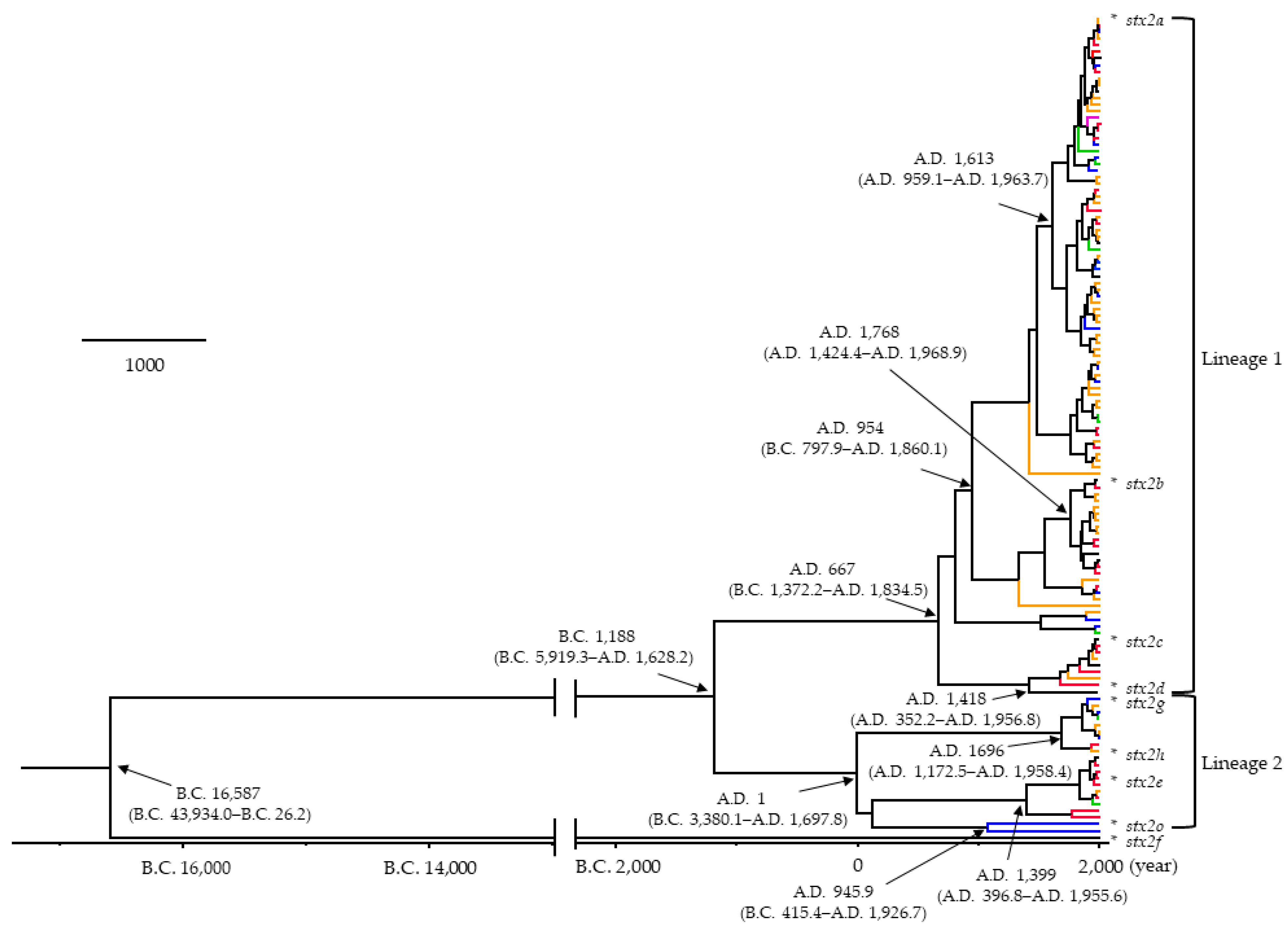 Microorganisms 12 01812 g001