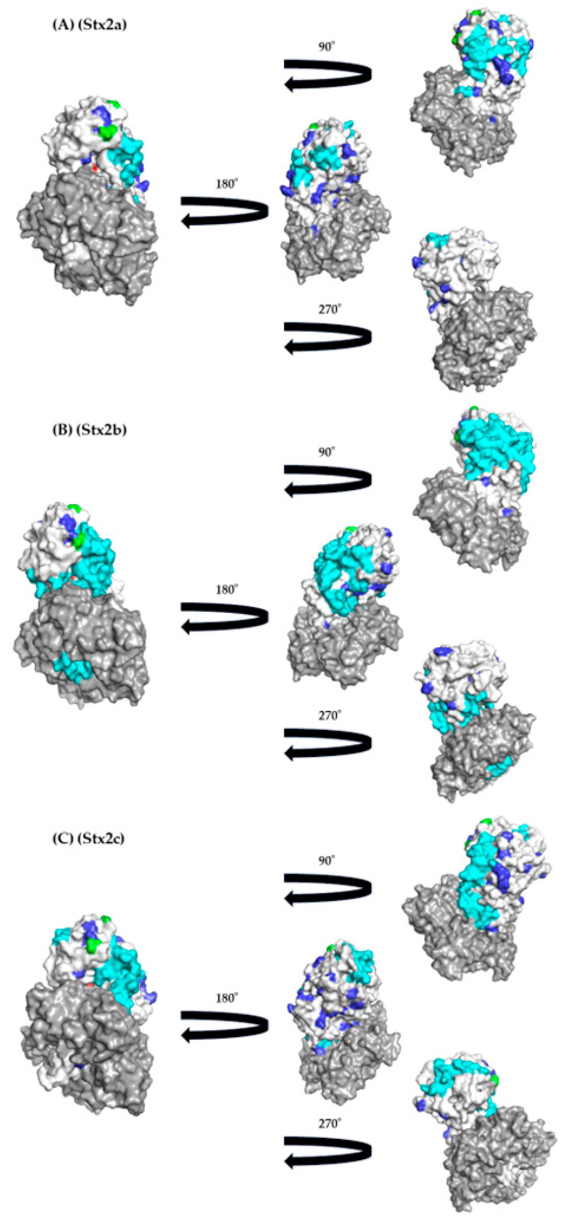 Microorganisms 12 01812 g005a