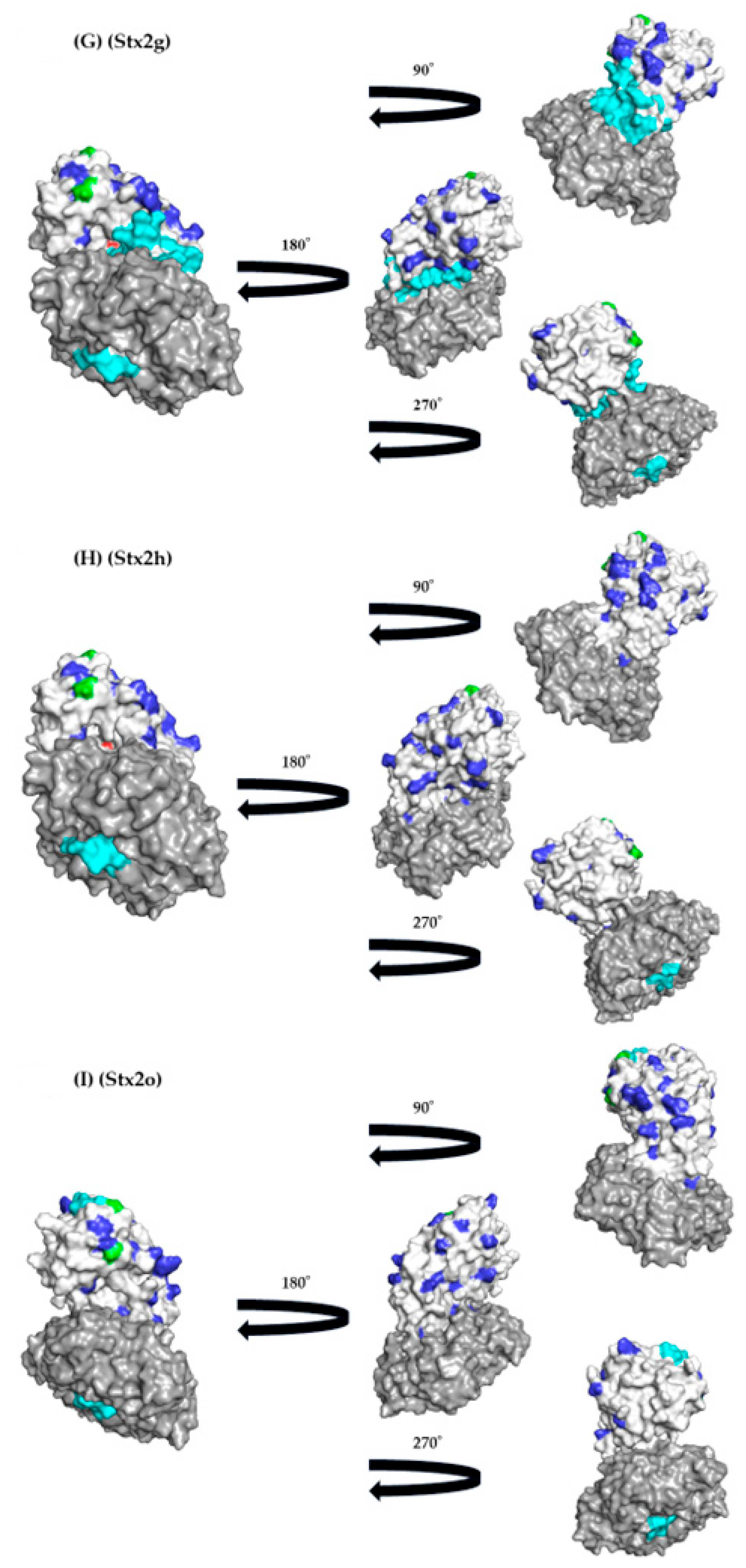Microorganisms 12 01812 g005c