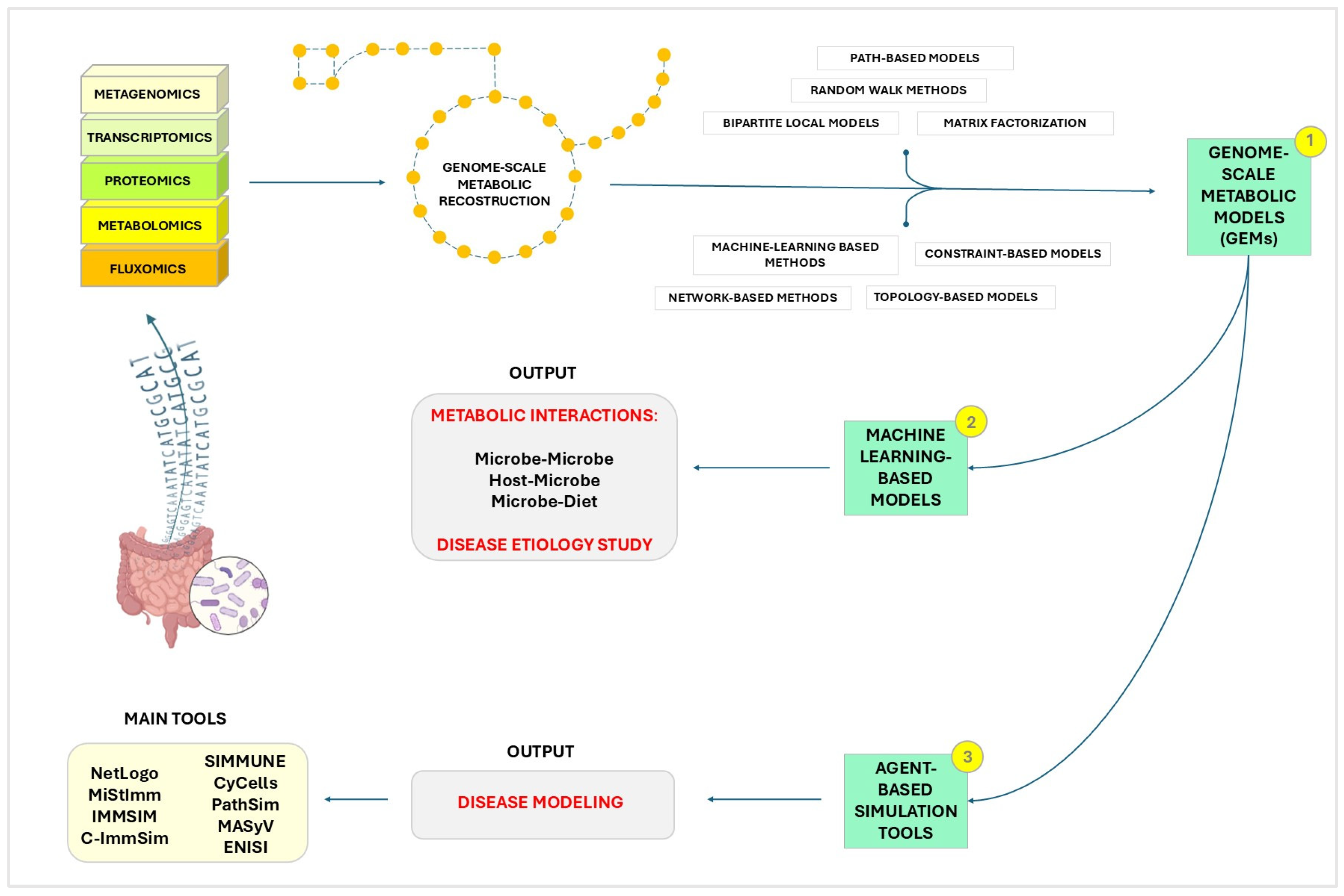 Microorganisms 12 01828 g001