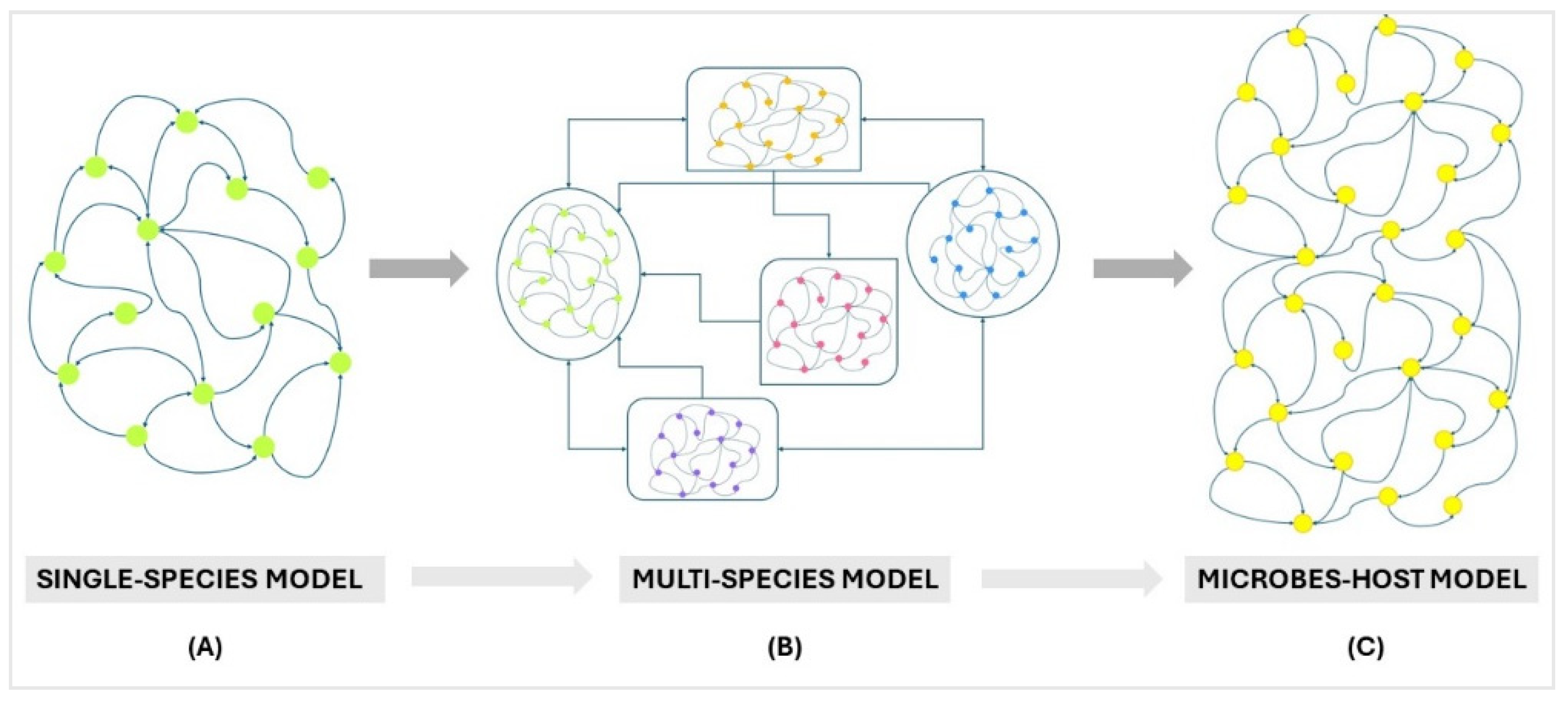 Microorganisms 12 01828 g002