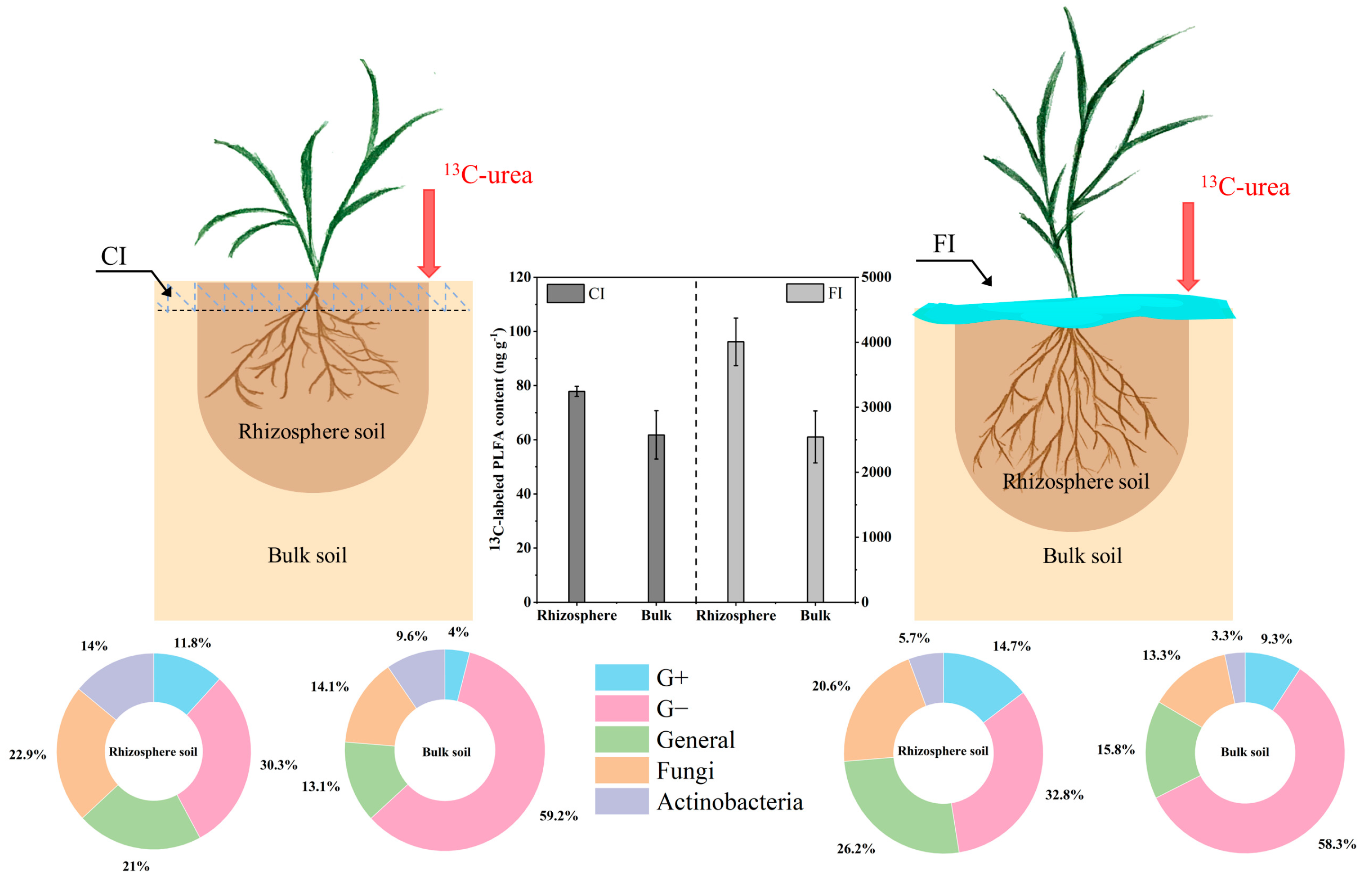 Microorganisms 12 01829 g006