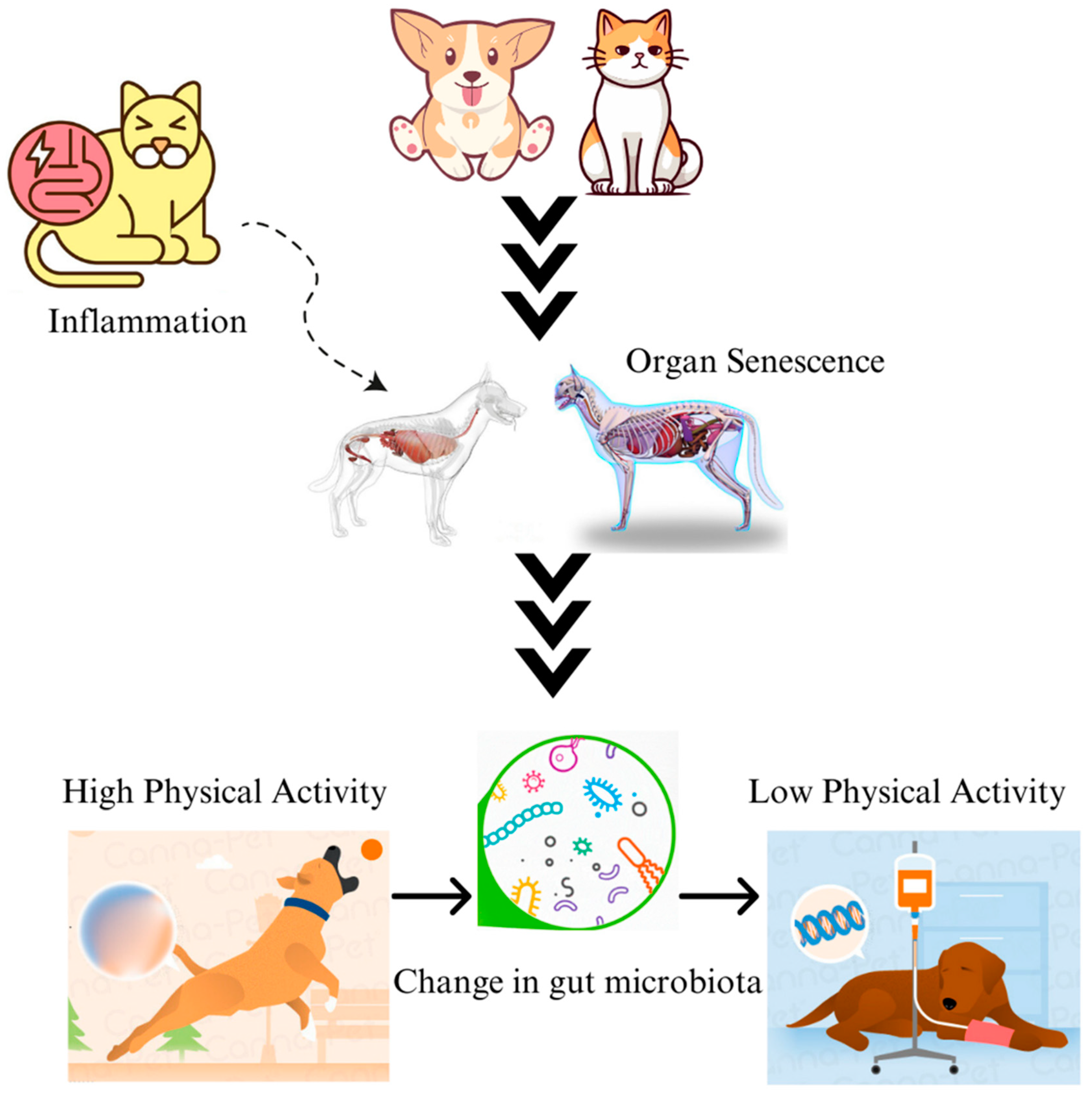 Microorganisms 12 01831 g002