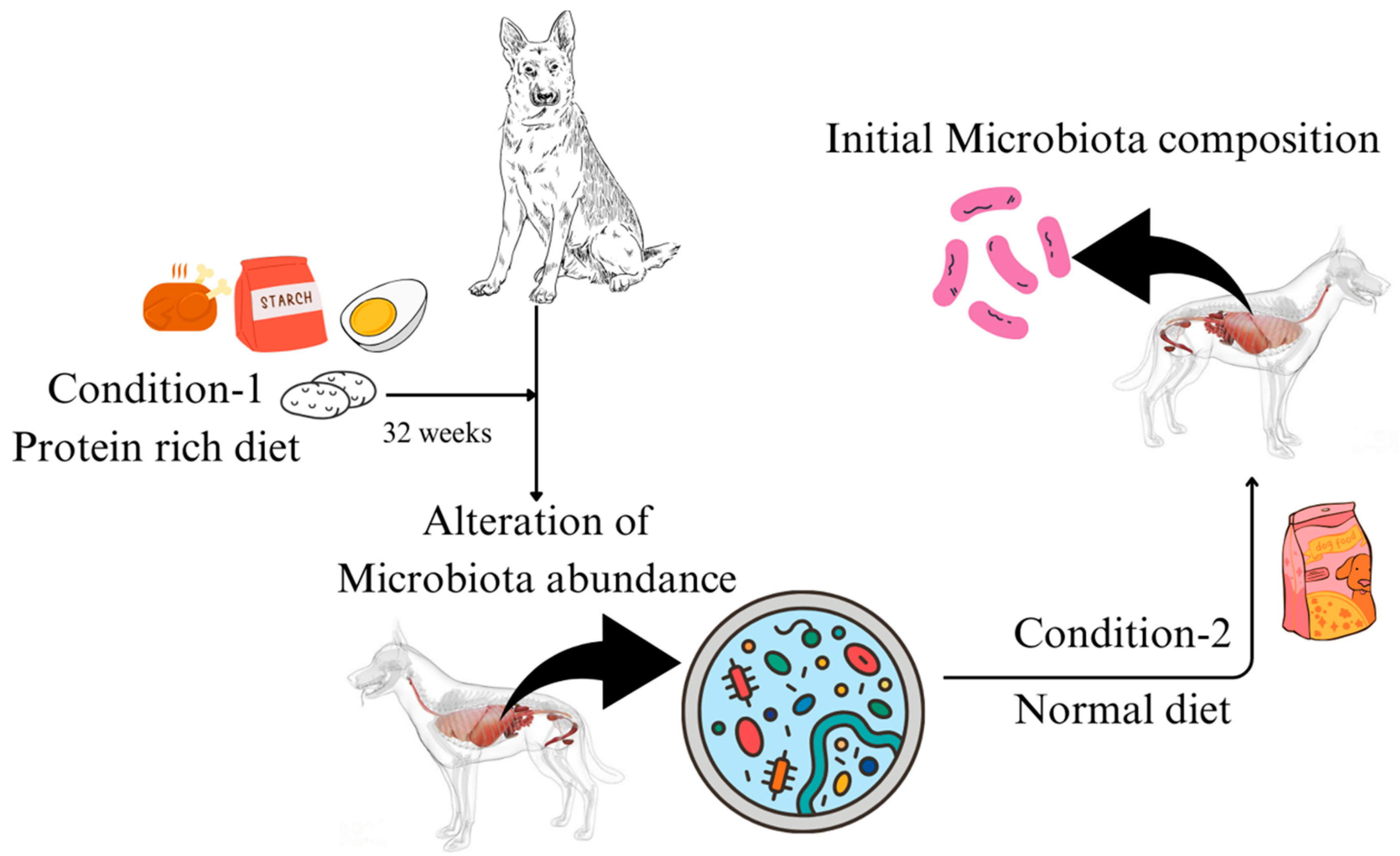 Microorganisms 12 01831 g003