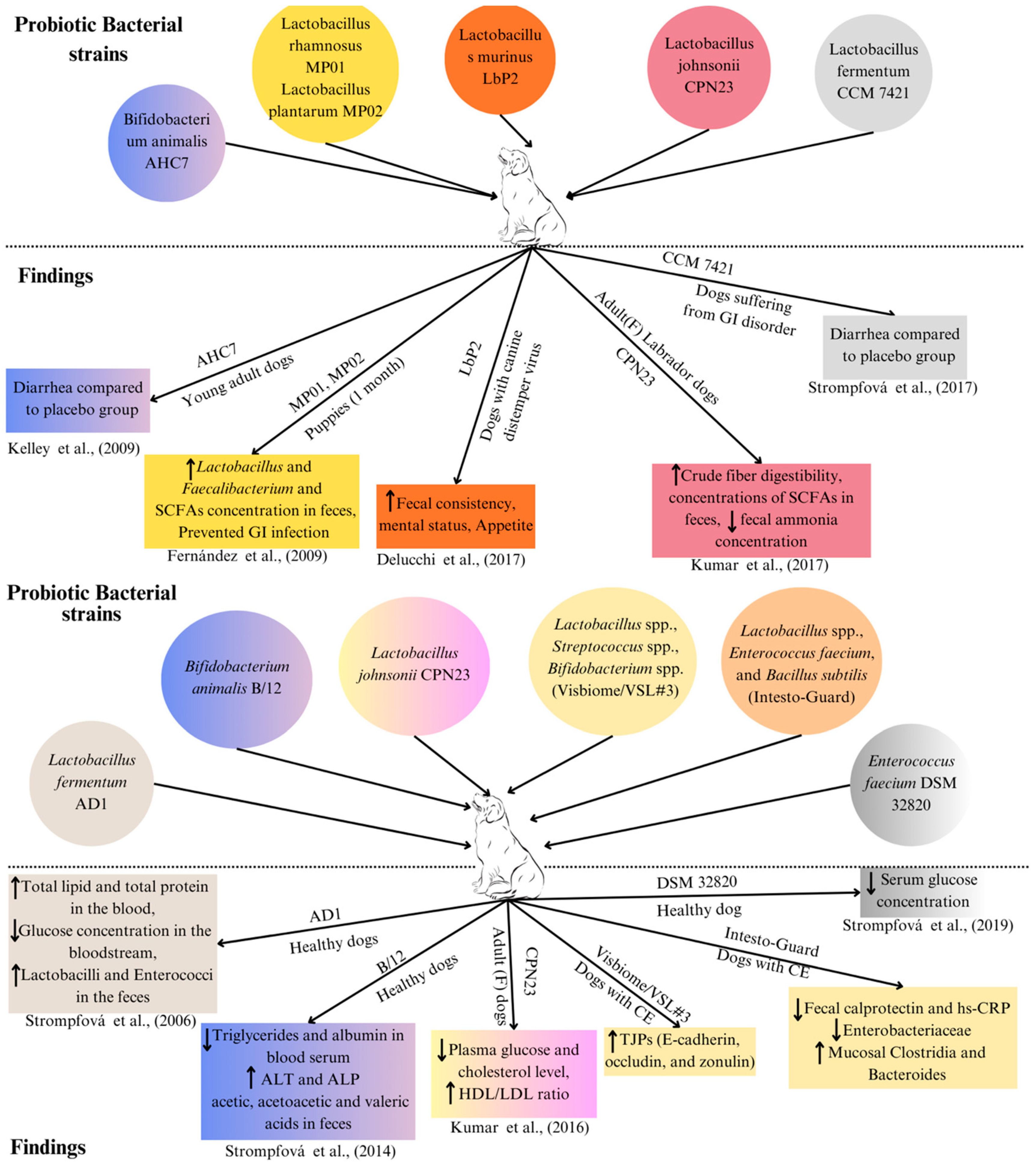 Microorganisms 12 01831 g004