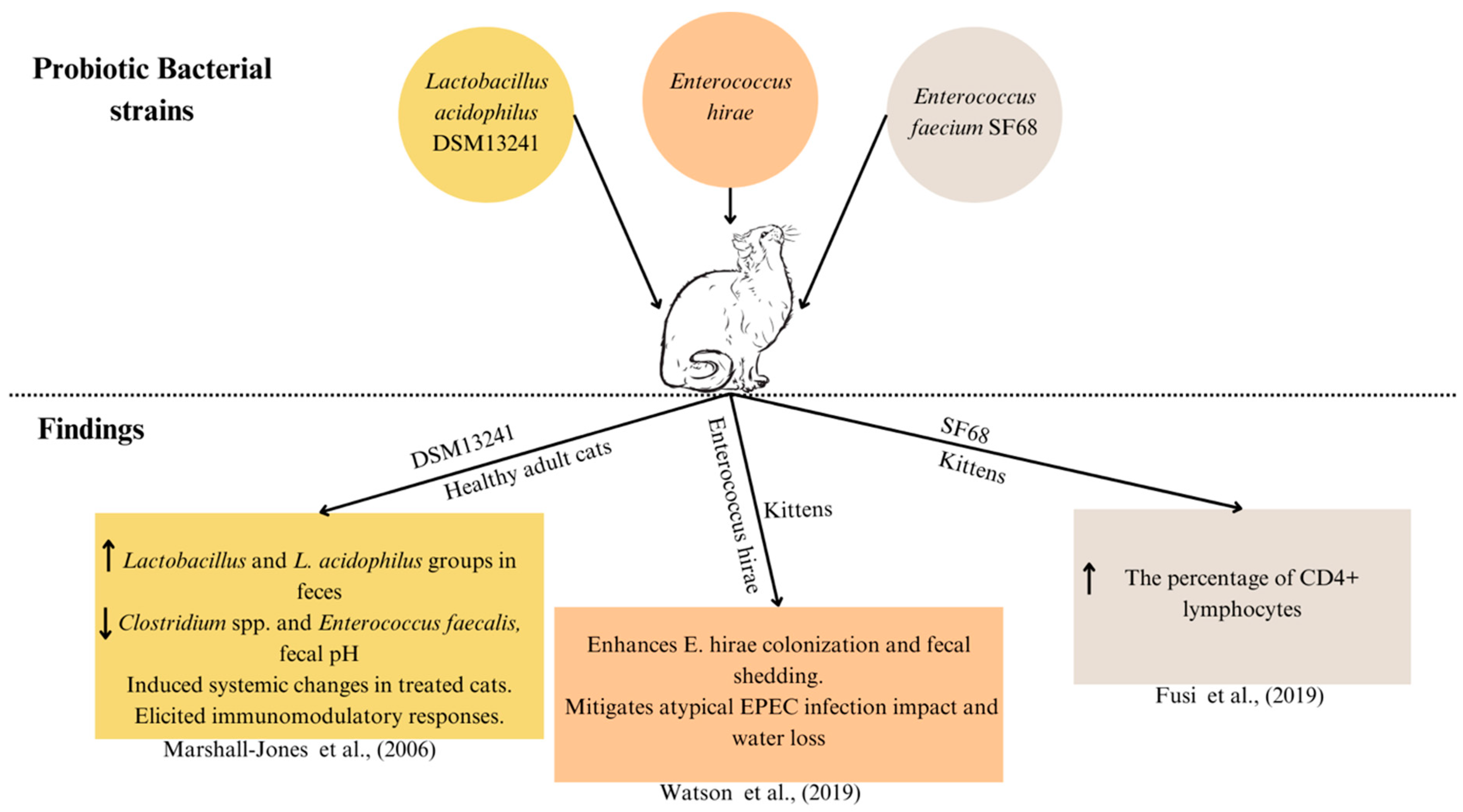Microorganisms 12 01831 g005