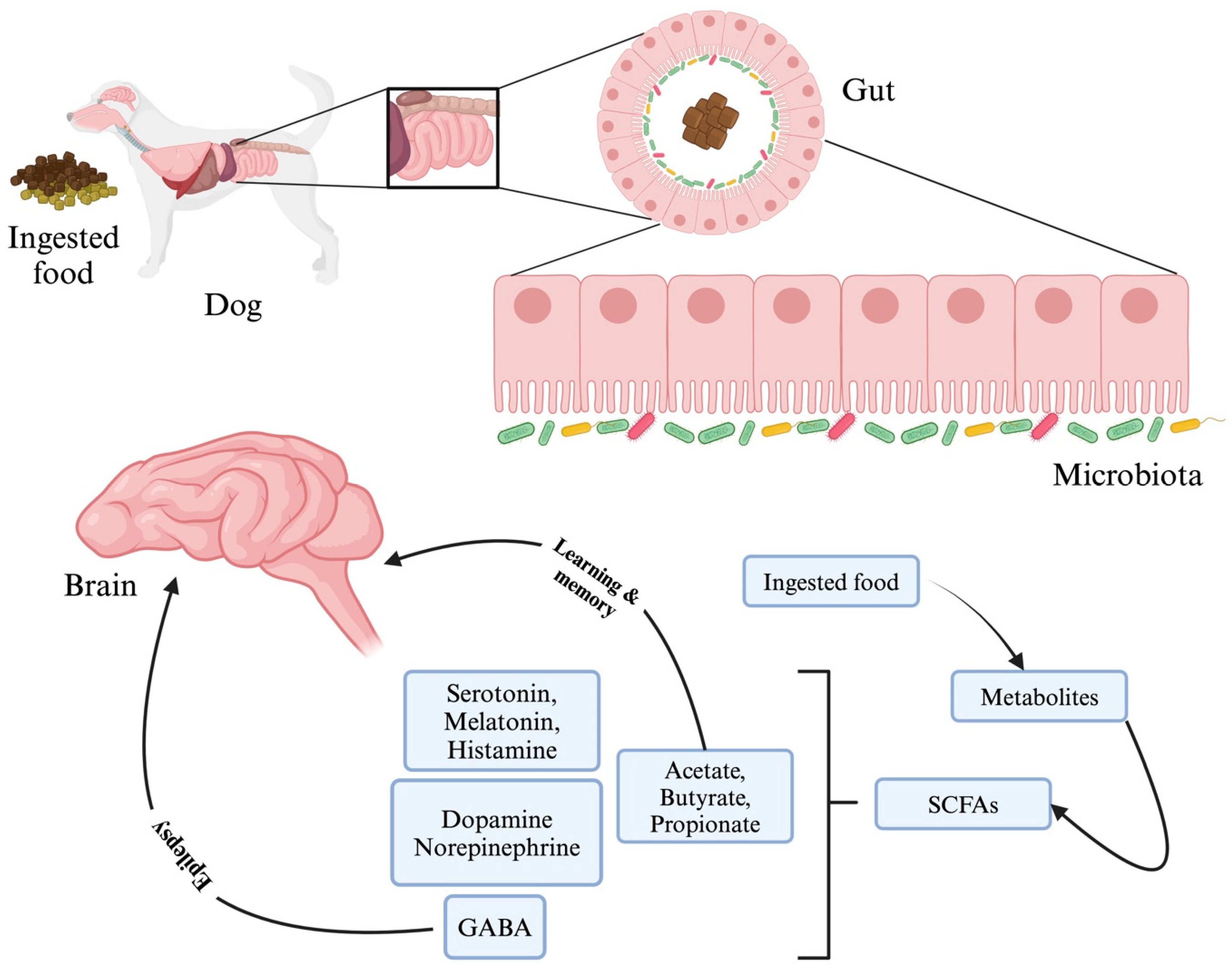 Microorganisms 12 01831 g006
