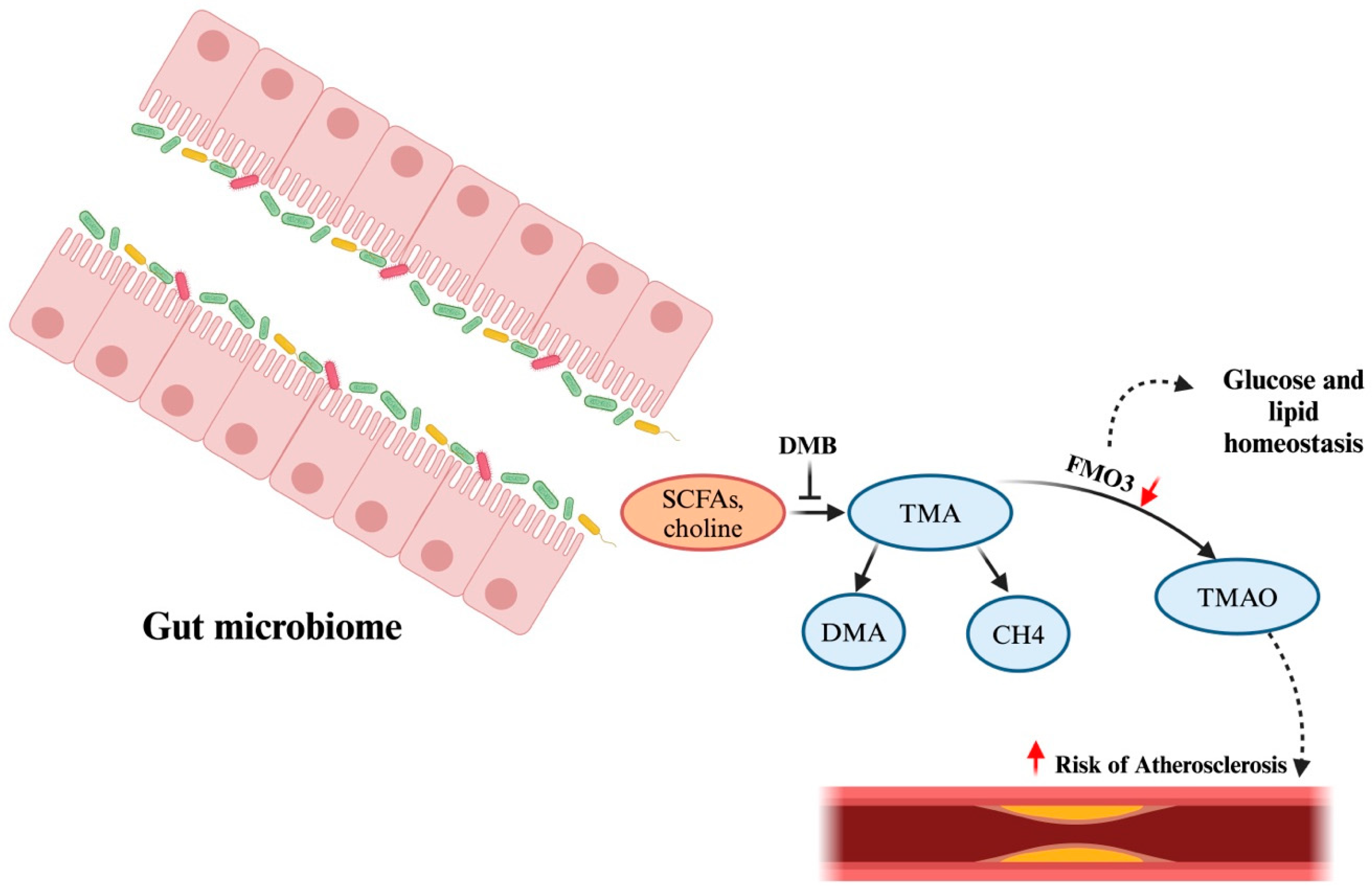 Microorganisms 12 01831 g007