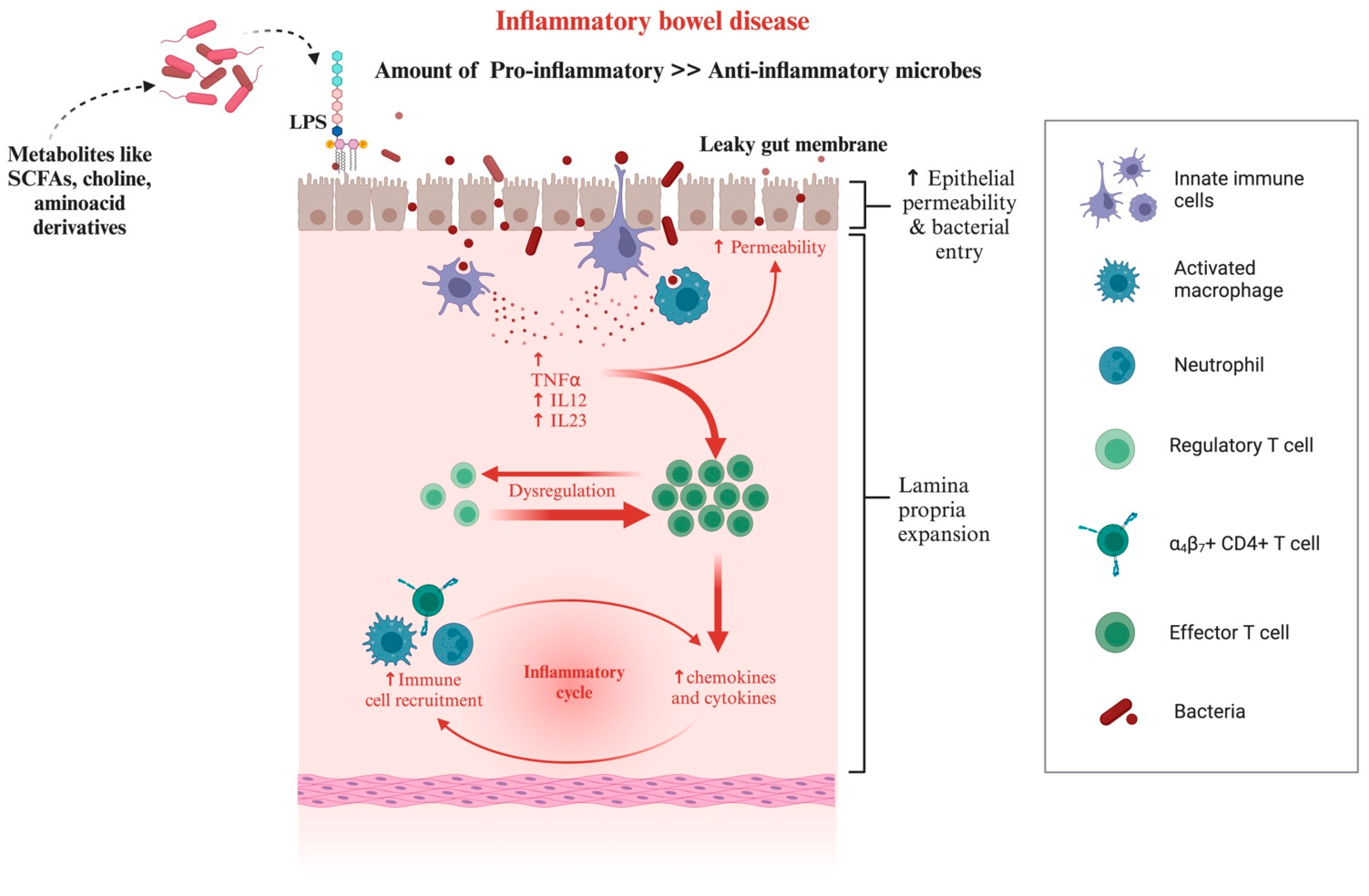 Microorganisms 12 01831 g008