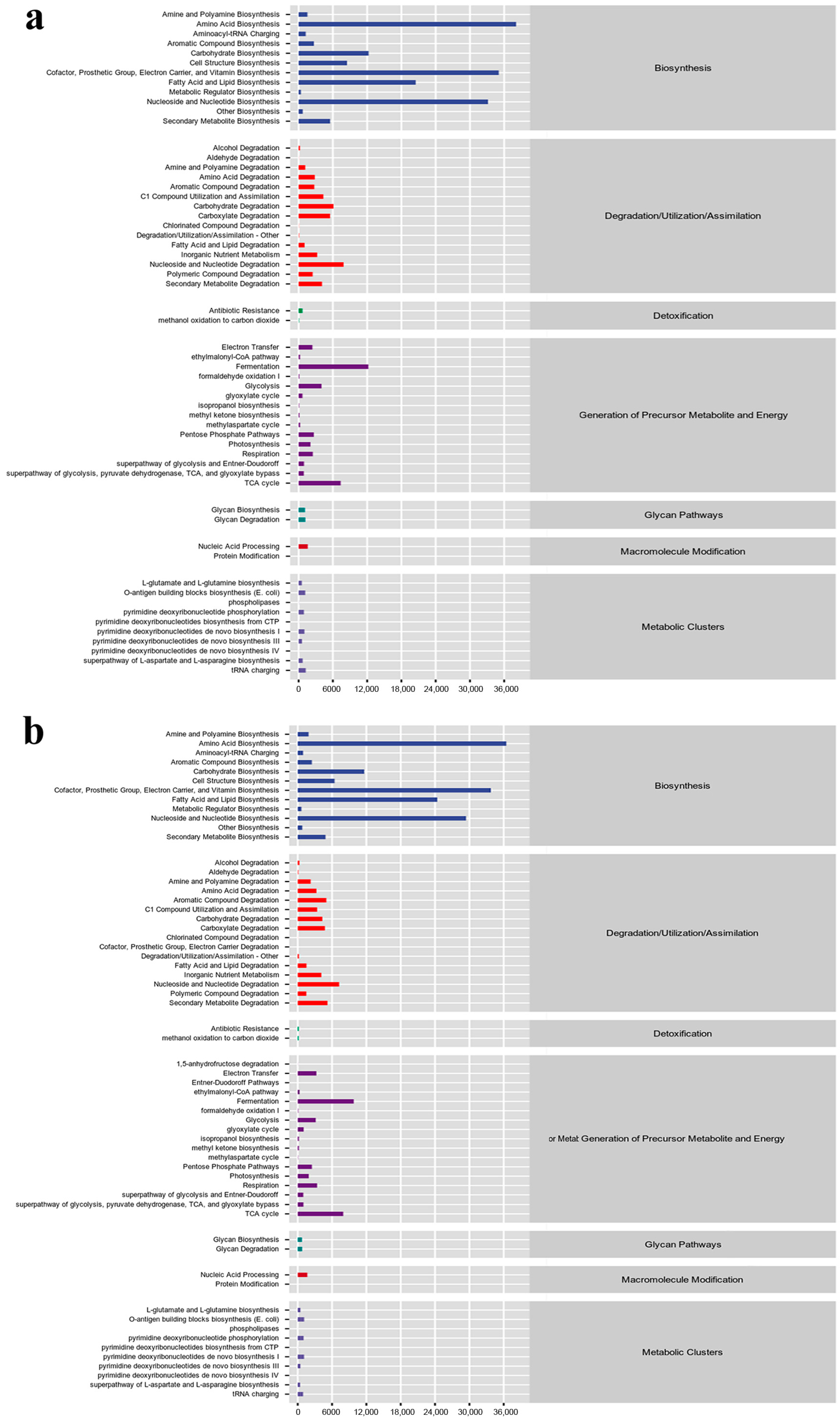 Microorganisms 12 01837 g006
