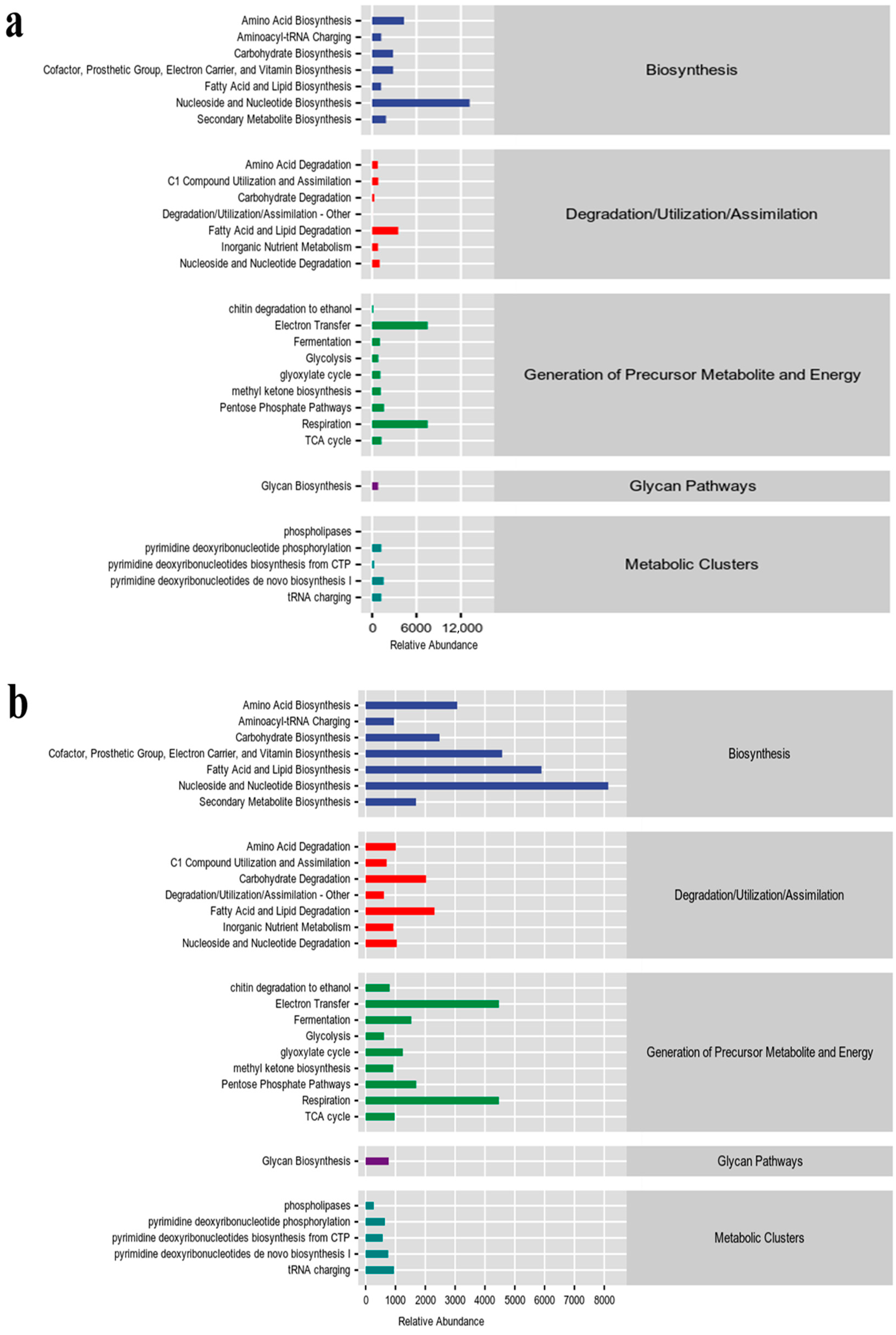 Microorganisms 12 01837 g007