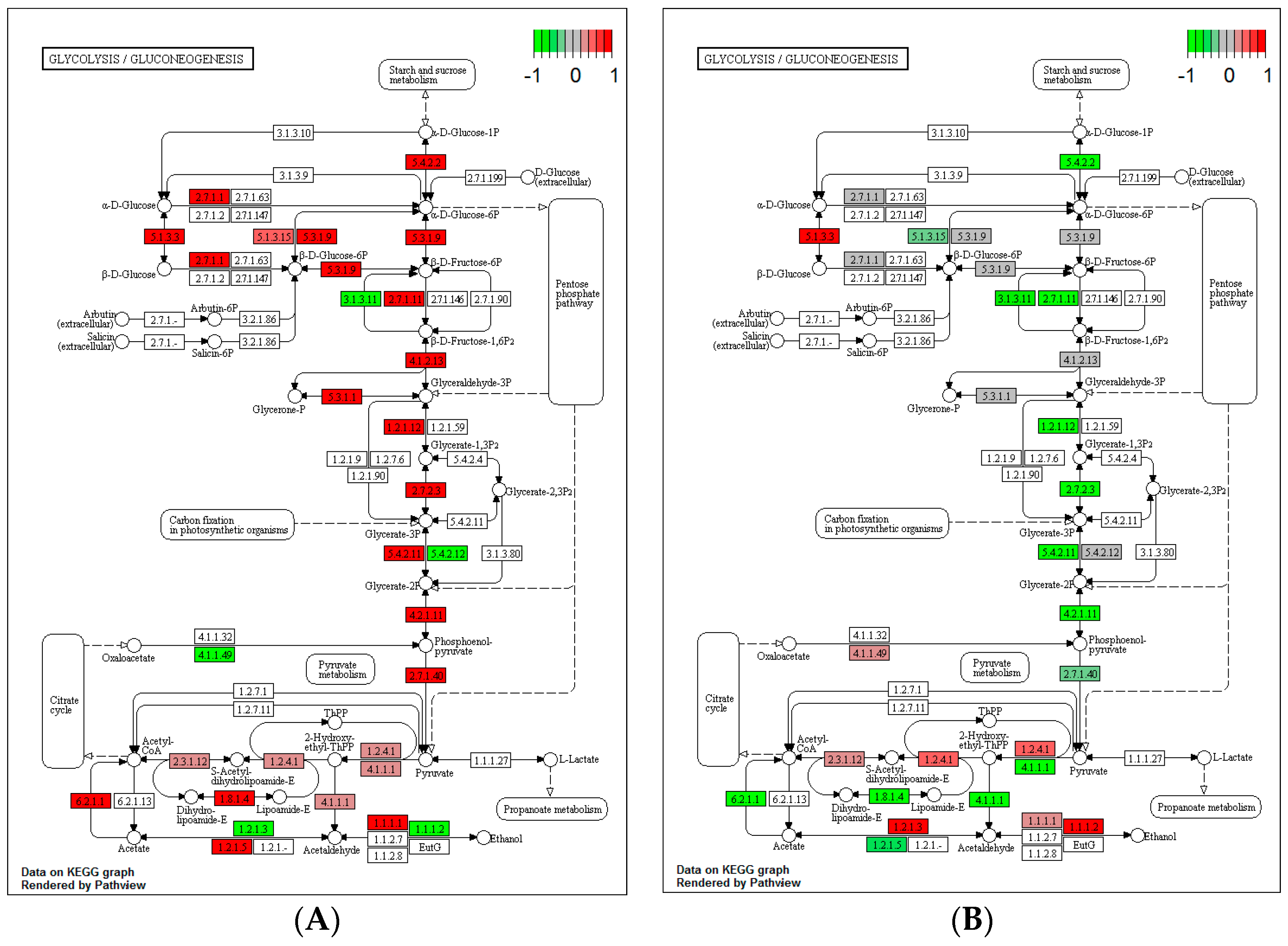 Microorganisms 12 01838 g004
