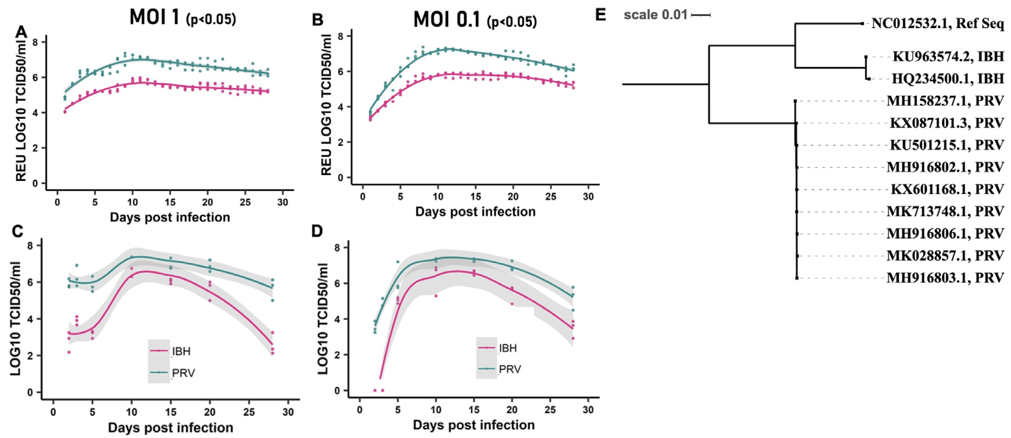 Microorganisms 12 01840 g001