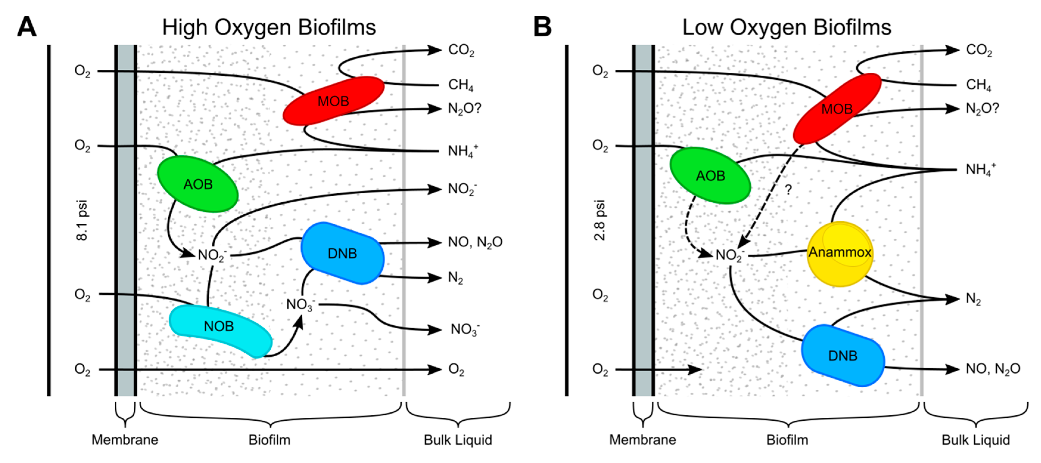 Microorganisms 12 01841 g006