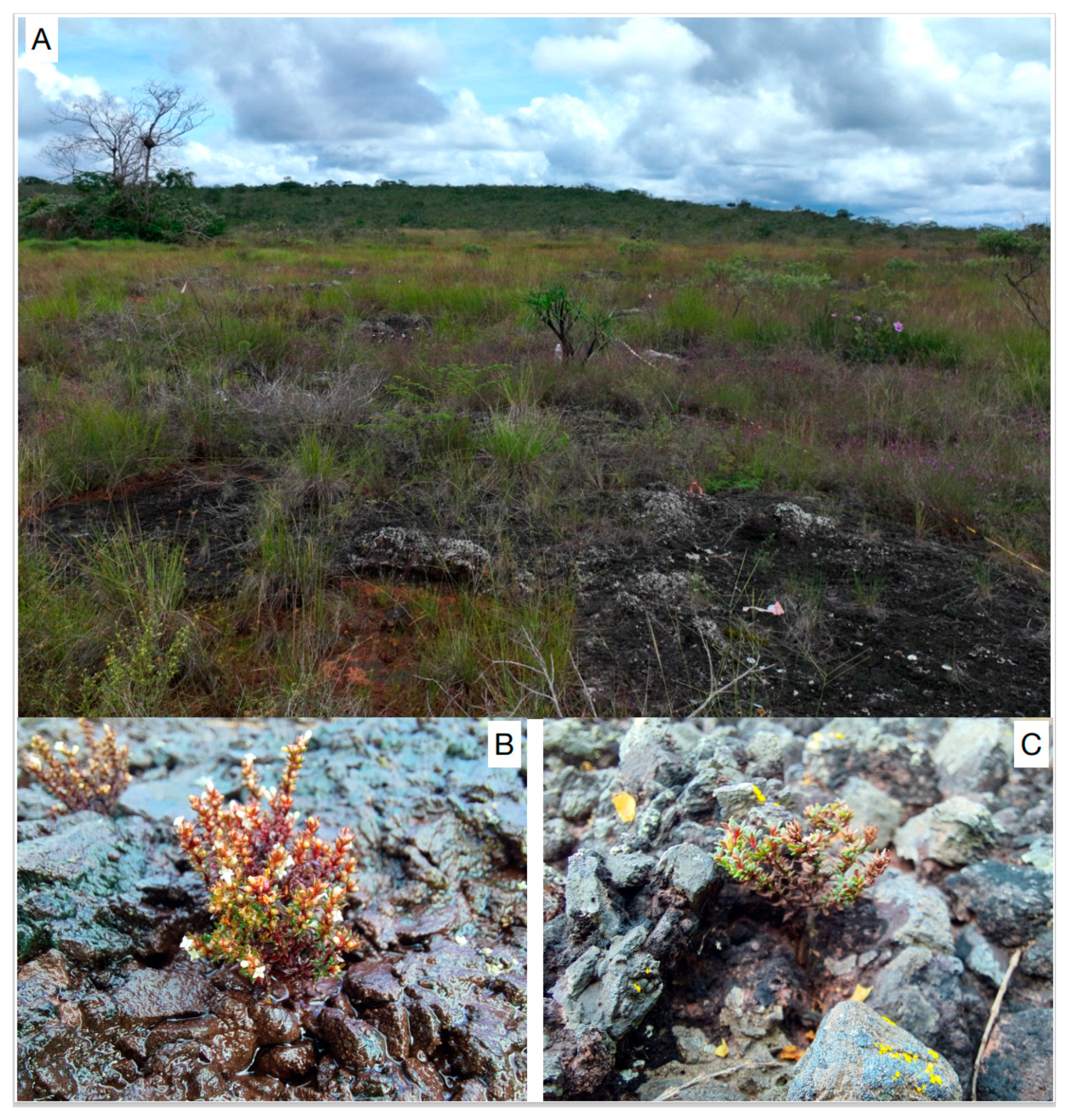 Microorganisms 12 01843 g001