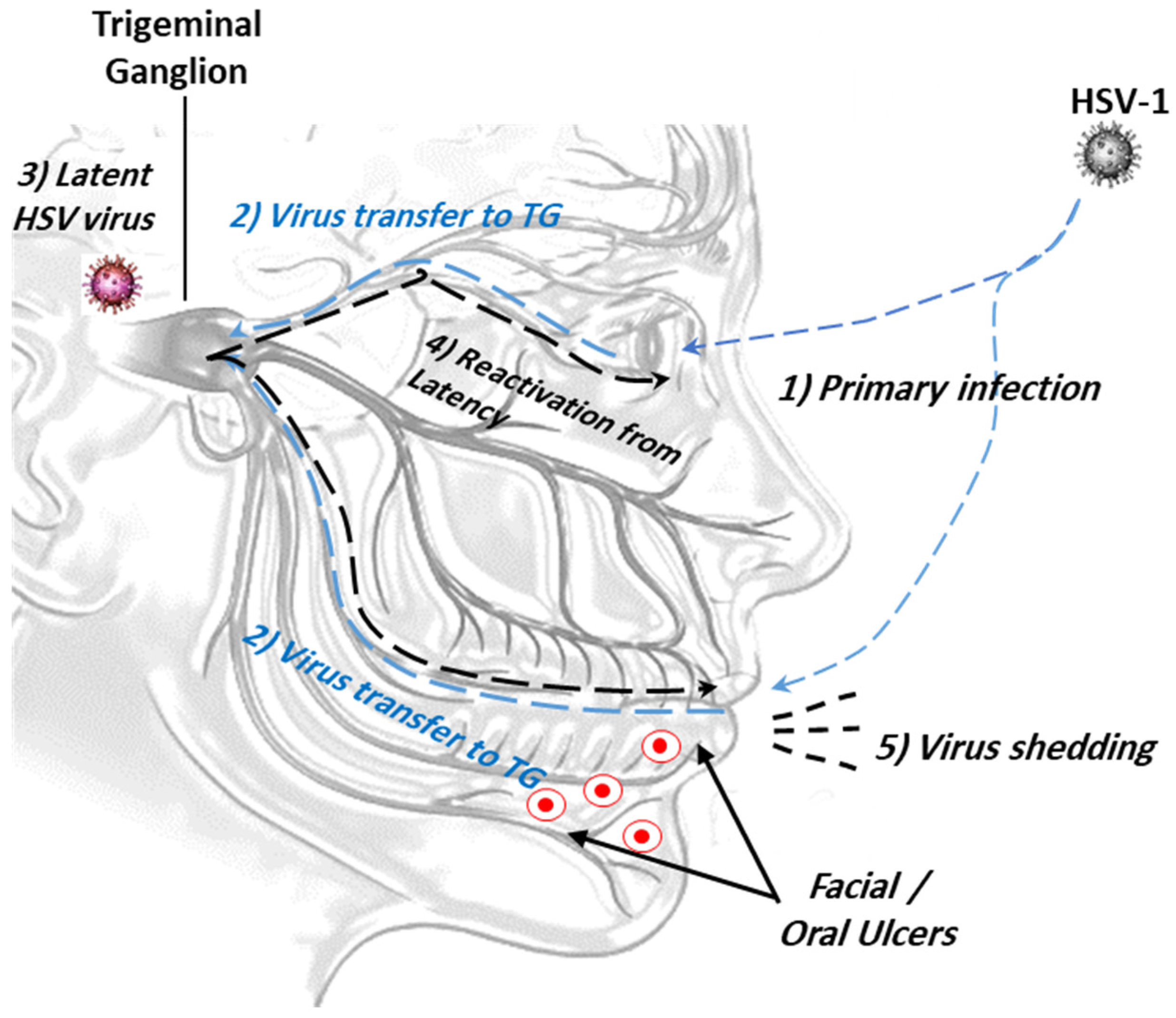 Microorganisms 12 01846 g001 Microorganisms 12 01846 g001