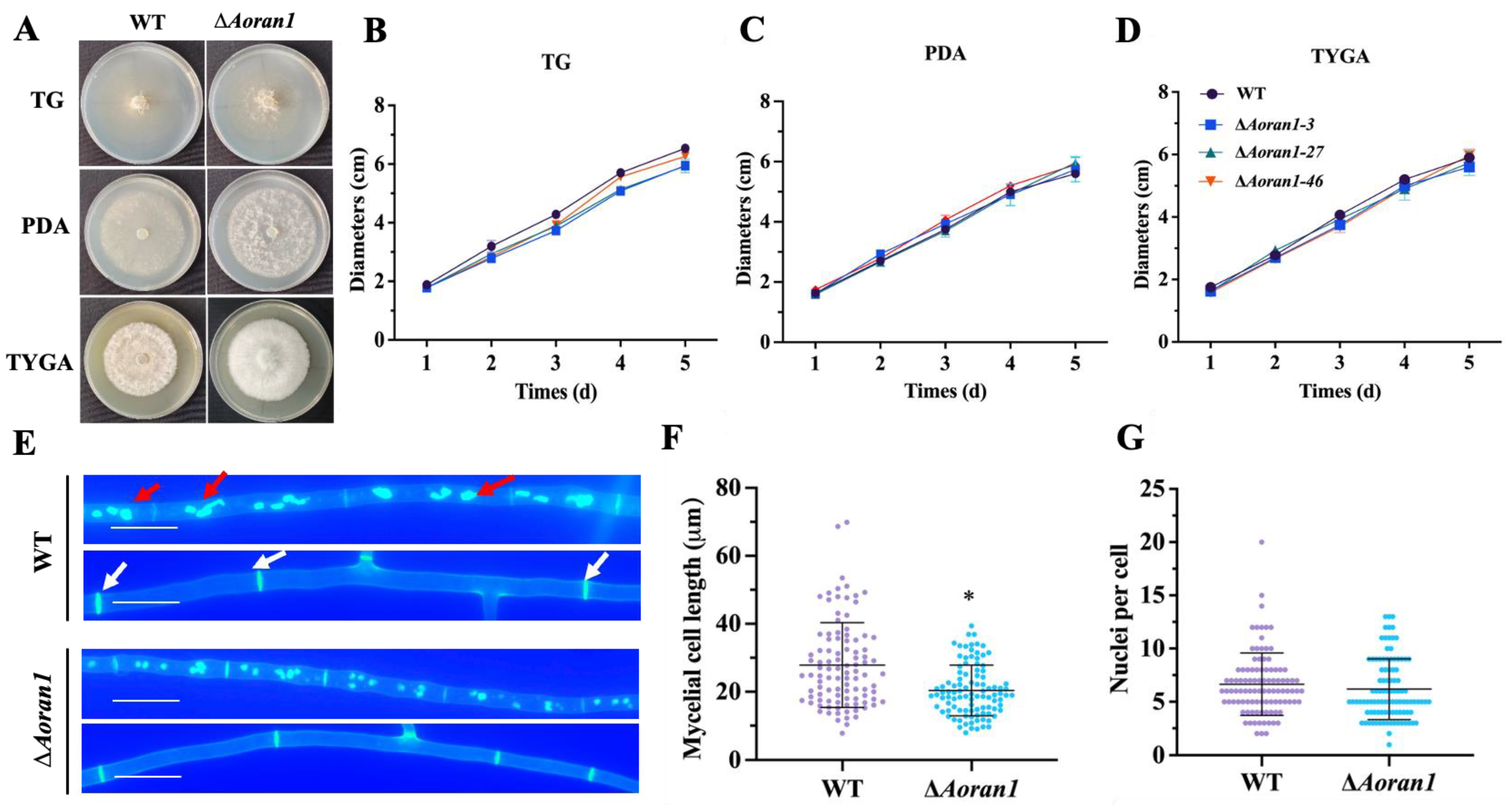 Microorganisms 12 01853 g002