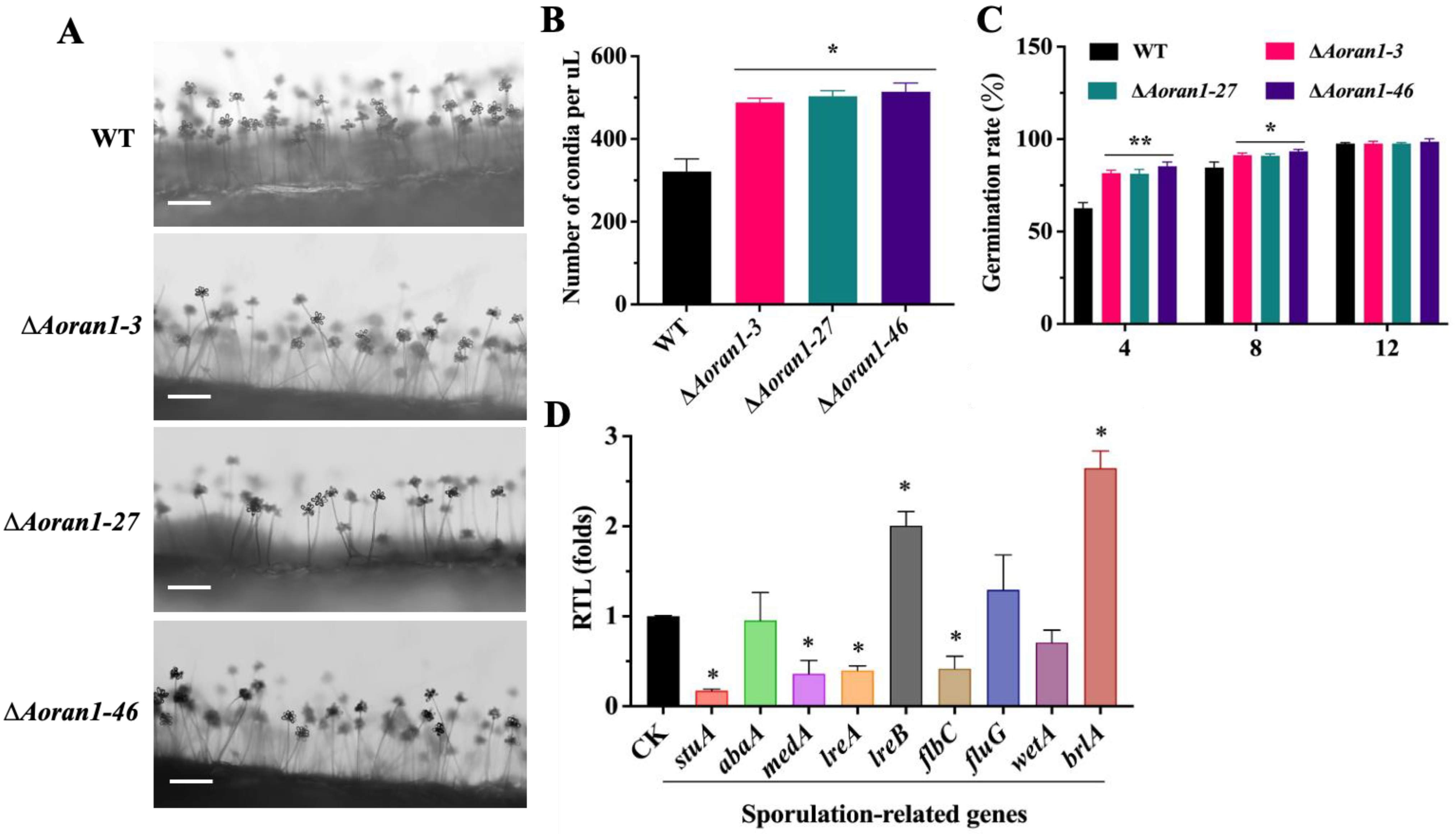 Microorganisms 12 01853 g003
