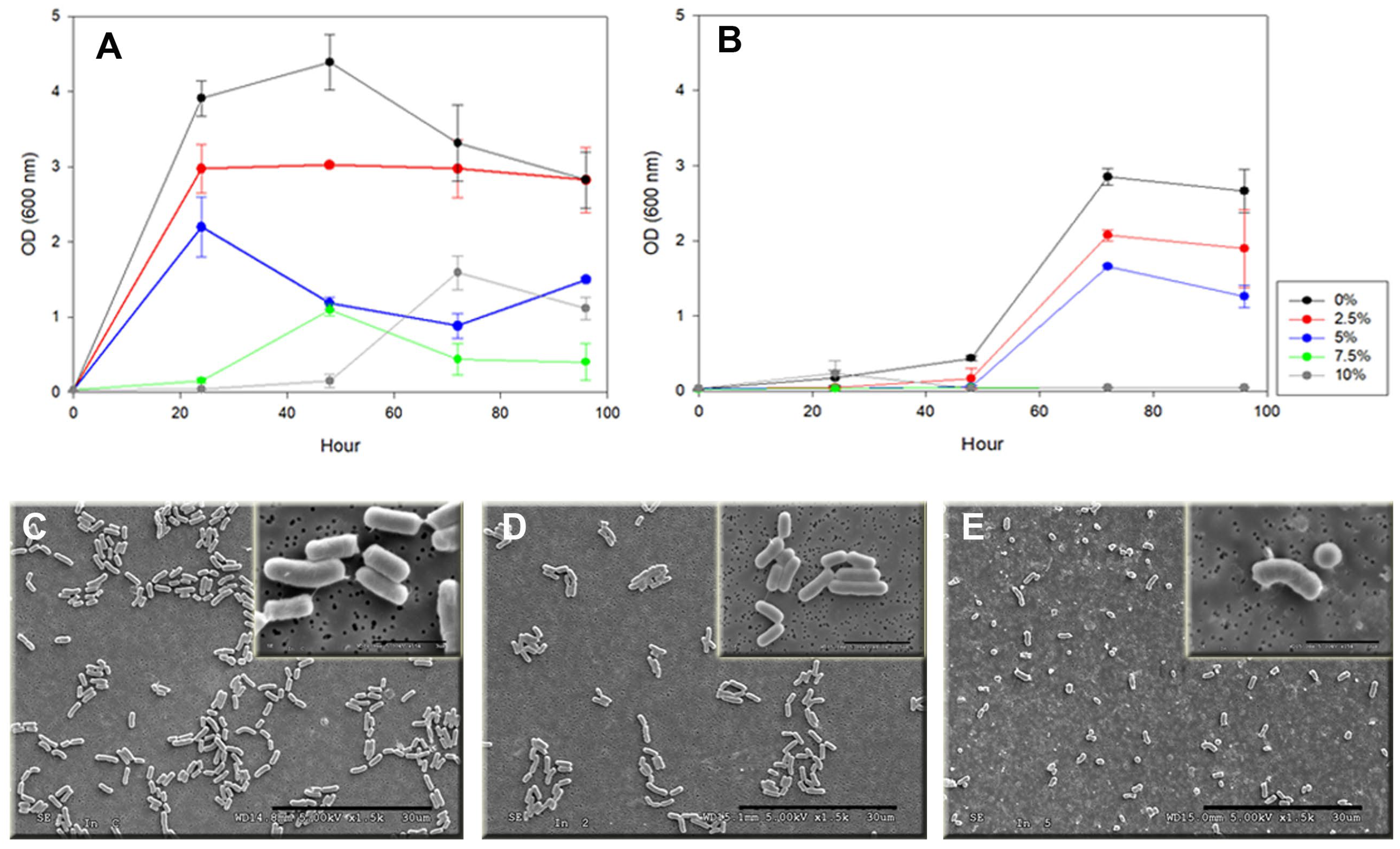 Microorganisms 12 01857 g002