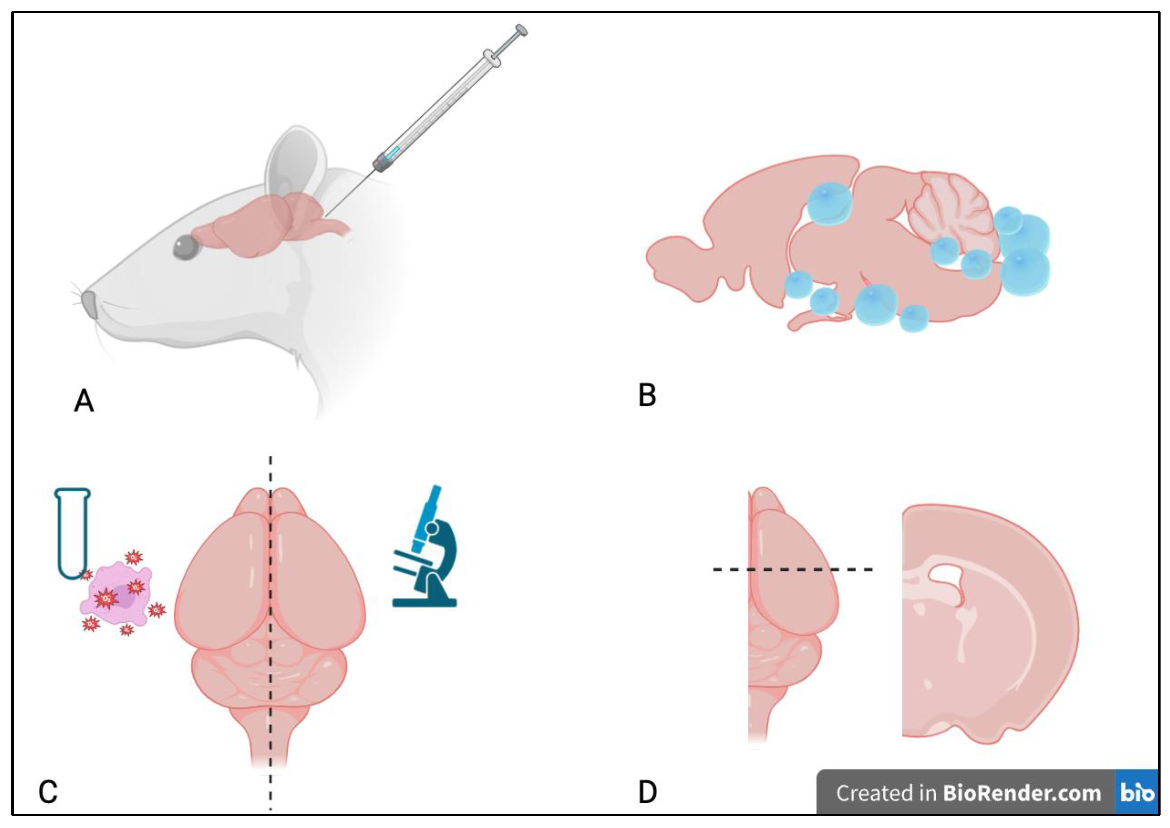 Microorganisms 12 01860 g001 Microorganisms 12 01860 g001