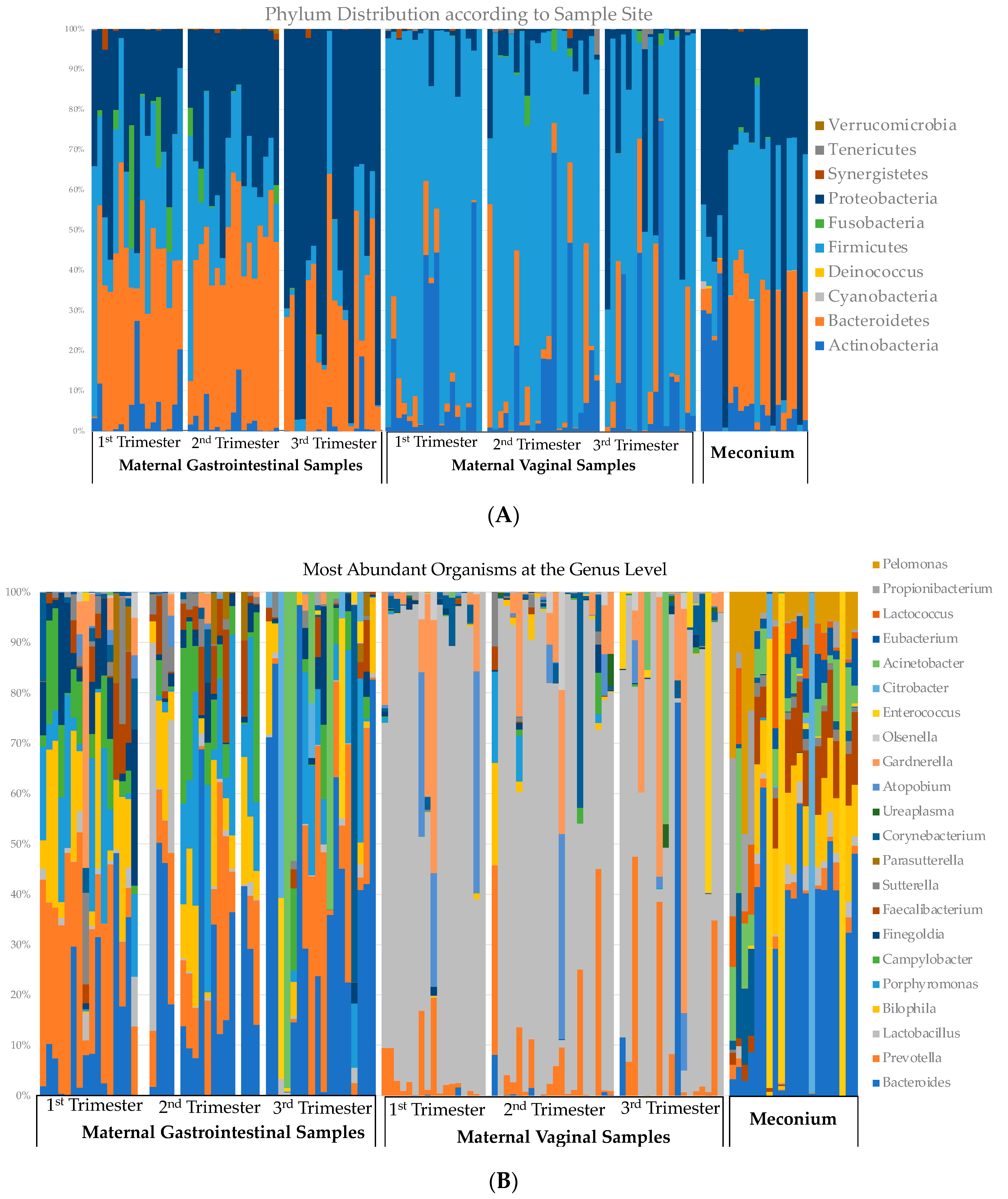 Microorganisms 12 01865 g005