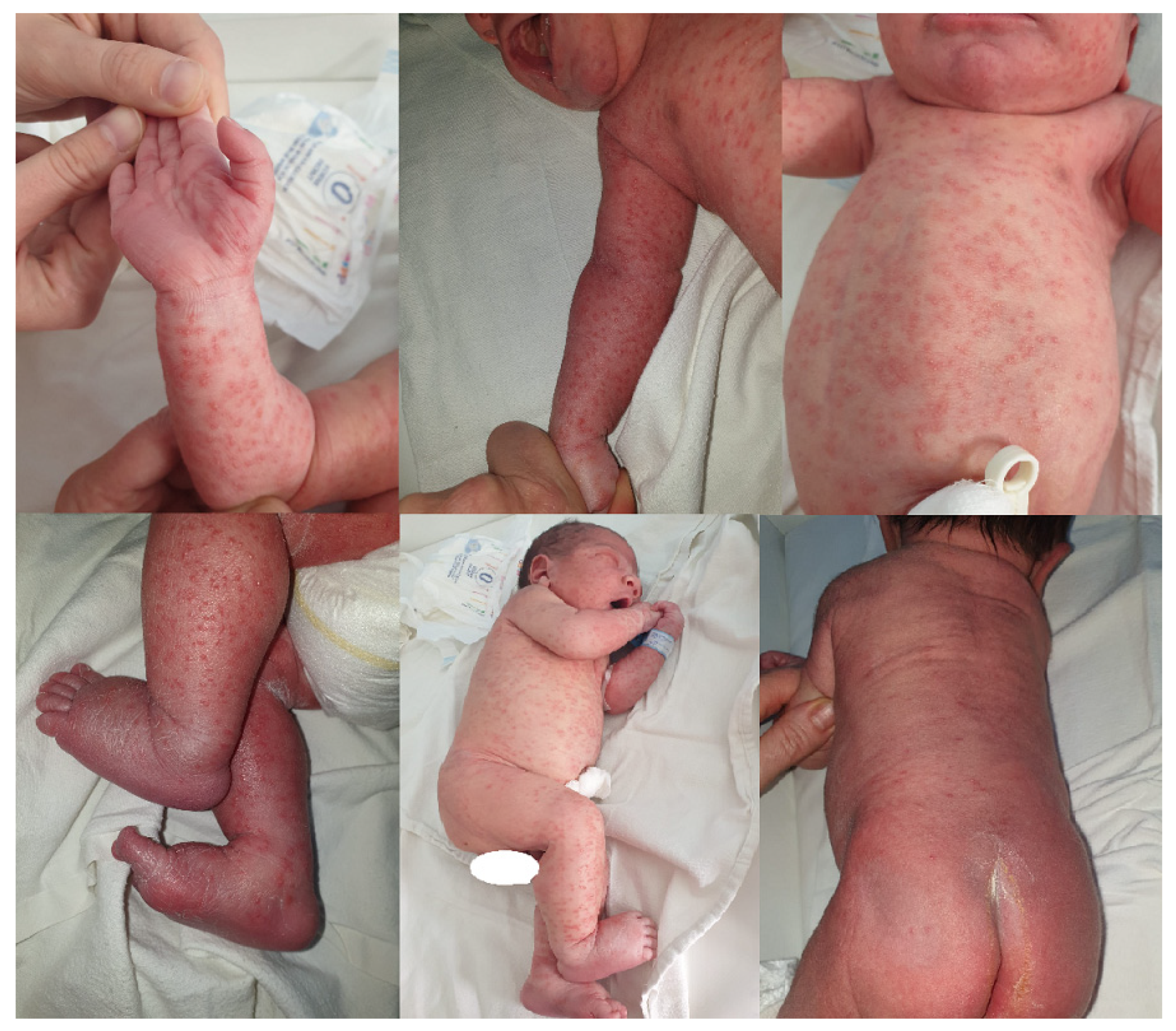 Microorganisms 12 01869 g001 Microorganisms 12 01869 g001