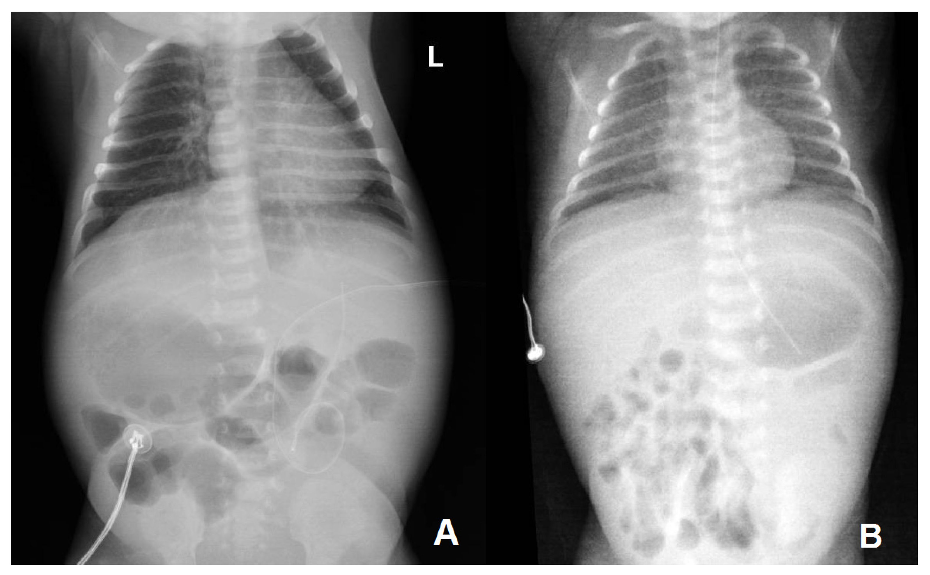 Microorganisms 12 01869 g002 Microorganisms 12 01869 g002