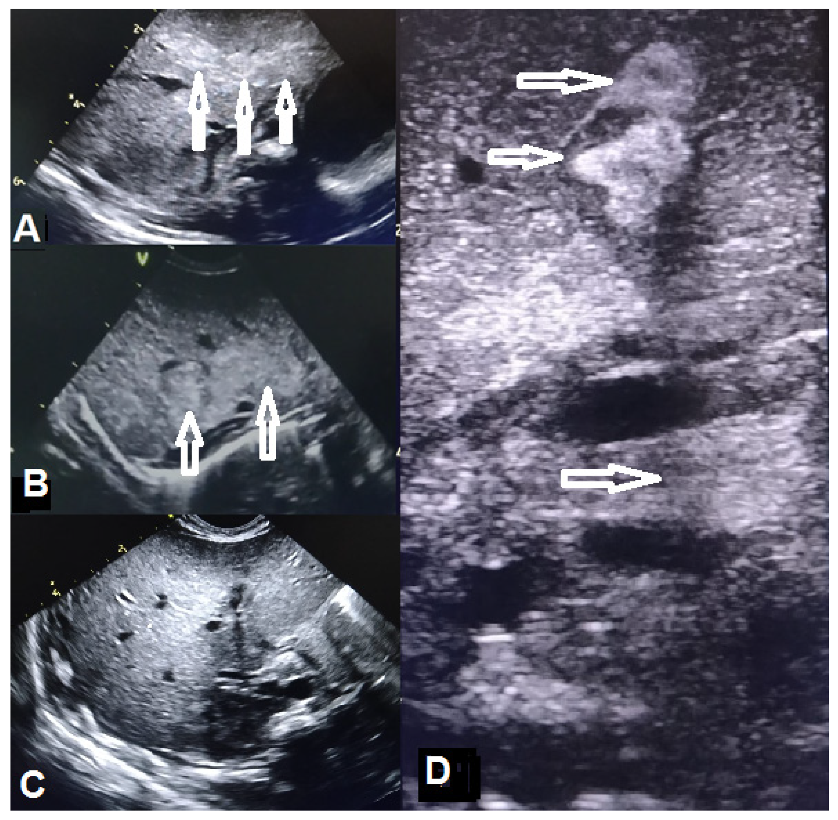 Microorganisms 12 01869 g003 Microorganisms 12 01869 g003
