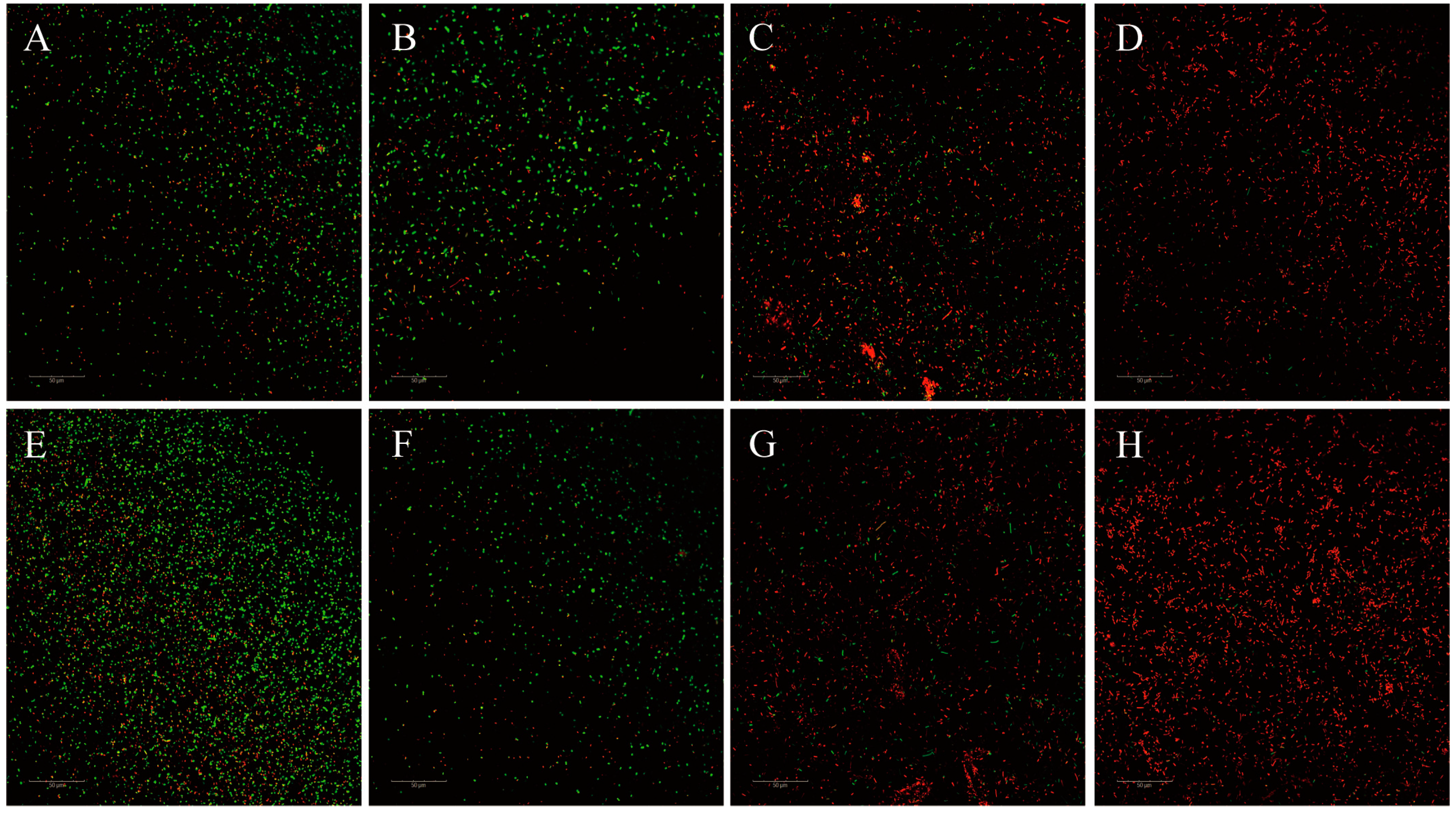 Microorganisms 12 01871 g006