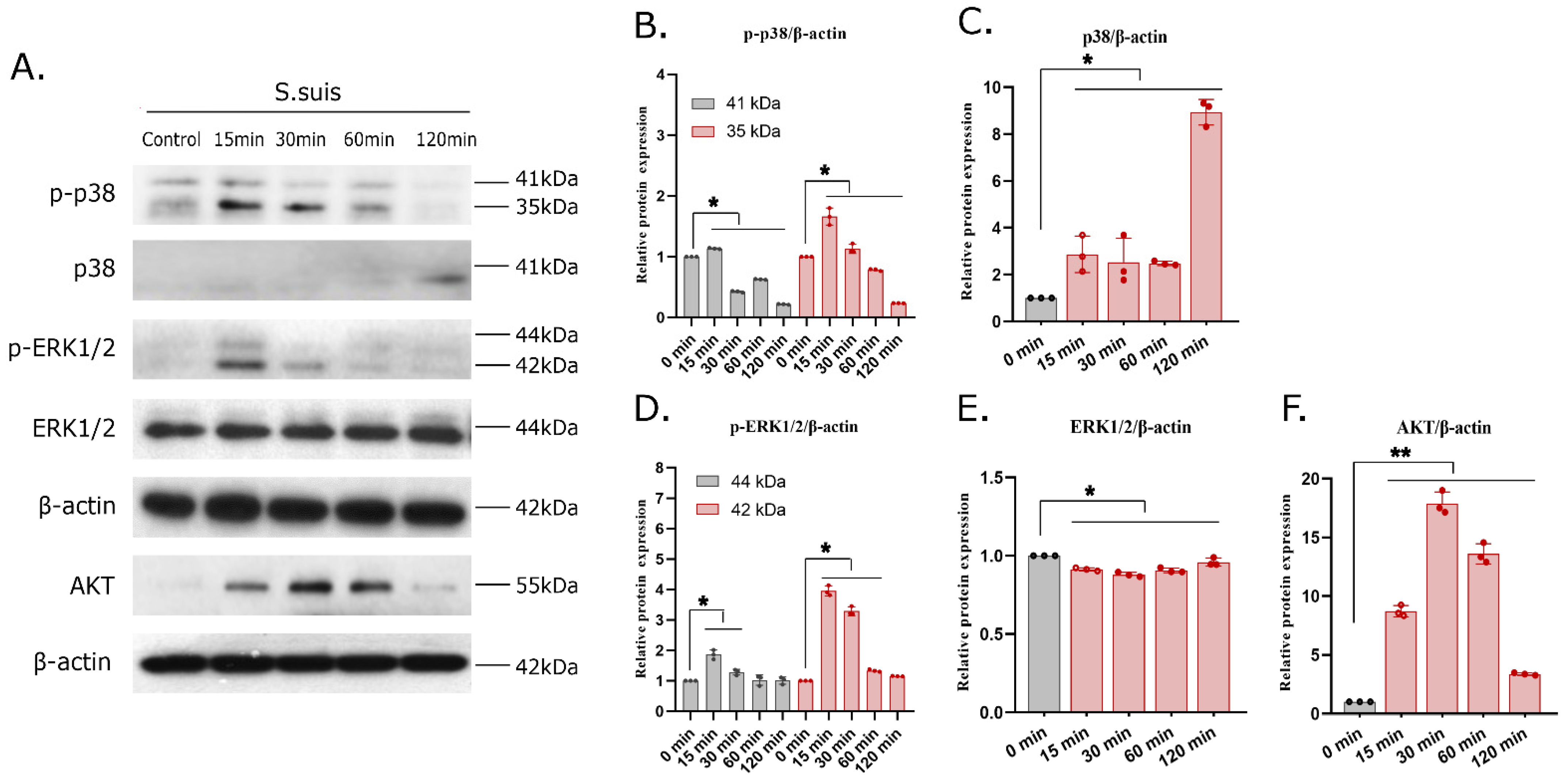 Microorganisms 12 01879 g006
