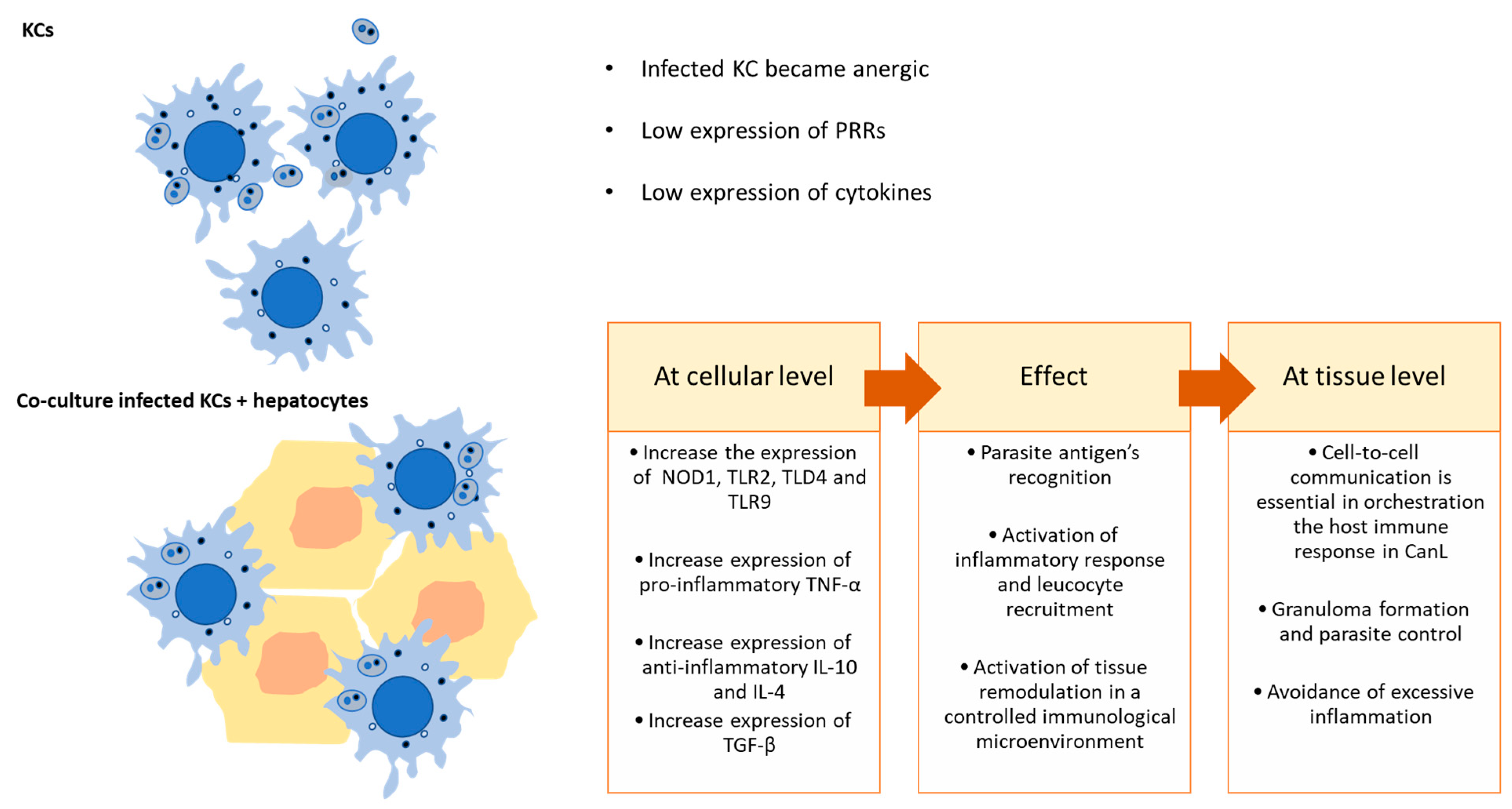 Microorganisms 12 01887 g006