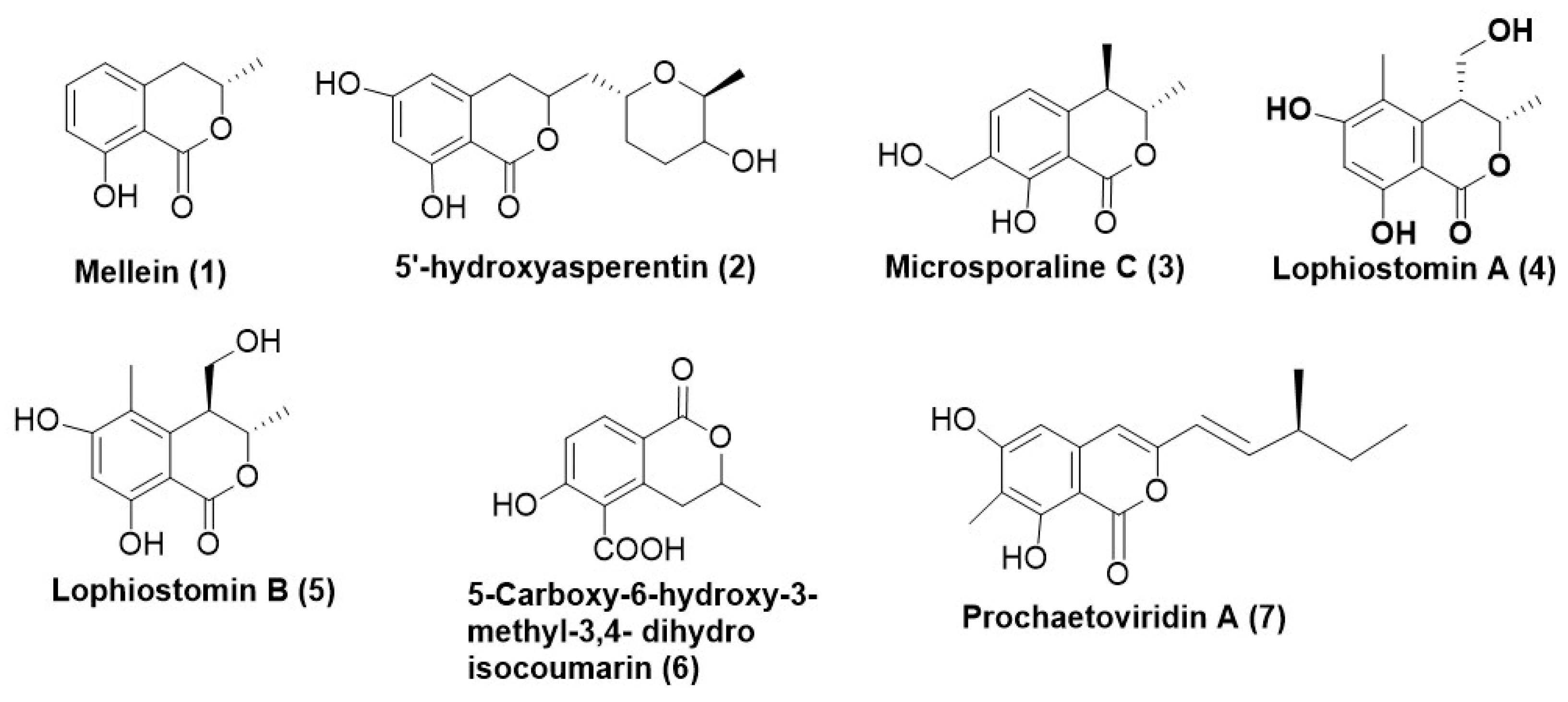 Microorganisms 12 01903 g001