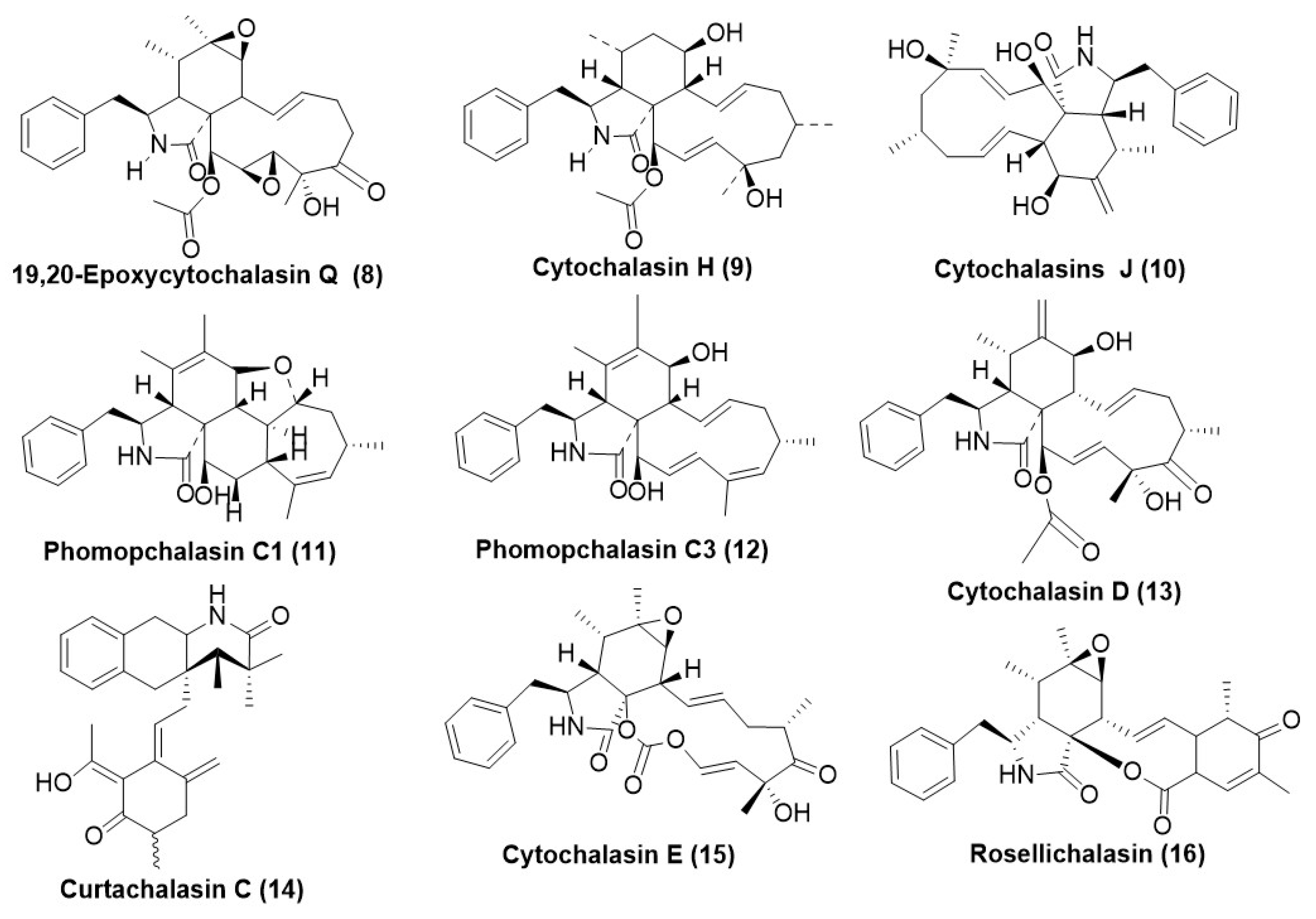 Microorganisms 12 01903 g002