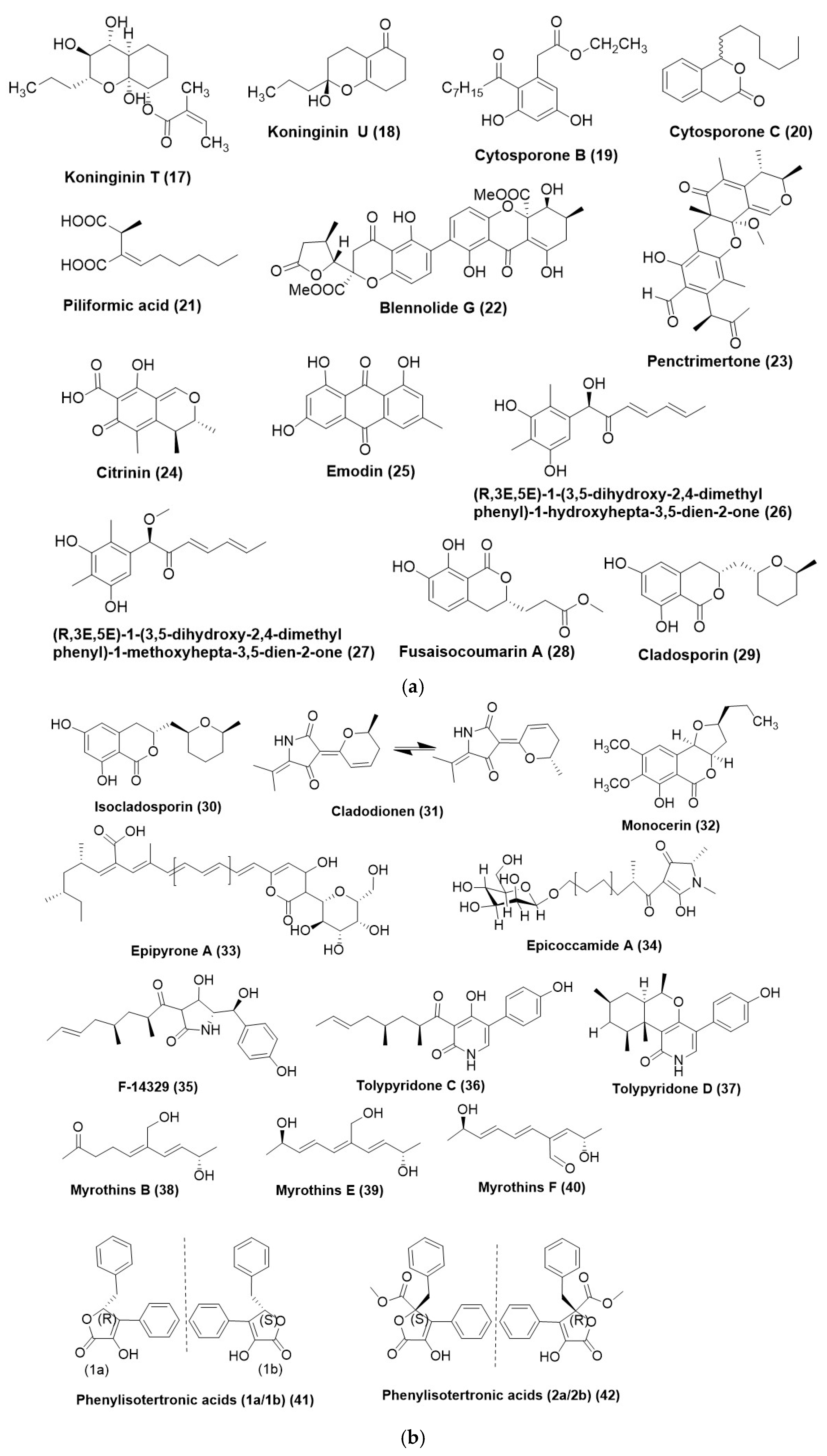 Microorganisms 12 01903 g003a