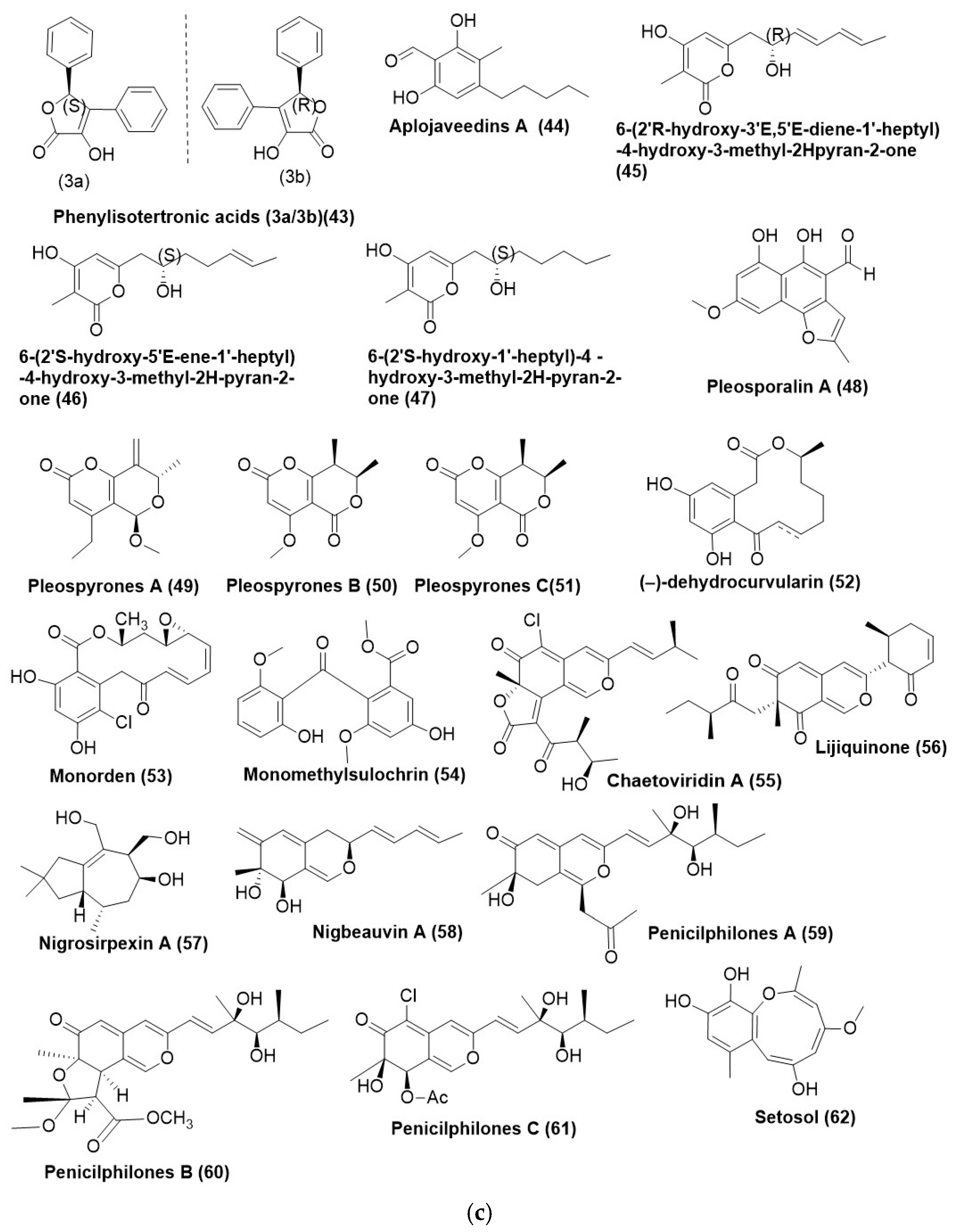 Microorganisms 12 01903 g003b