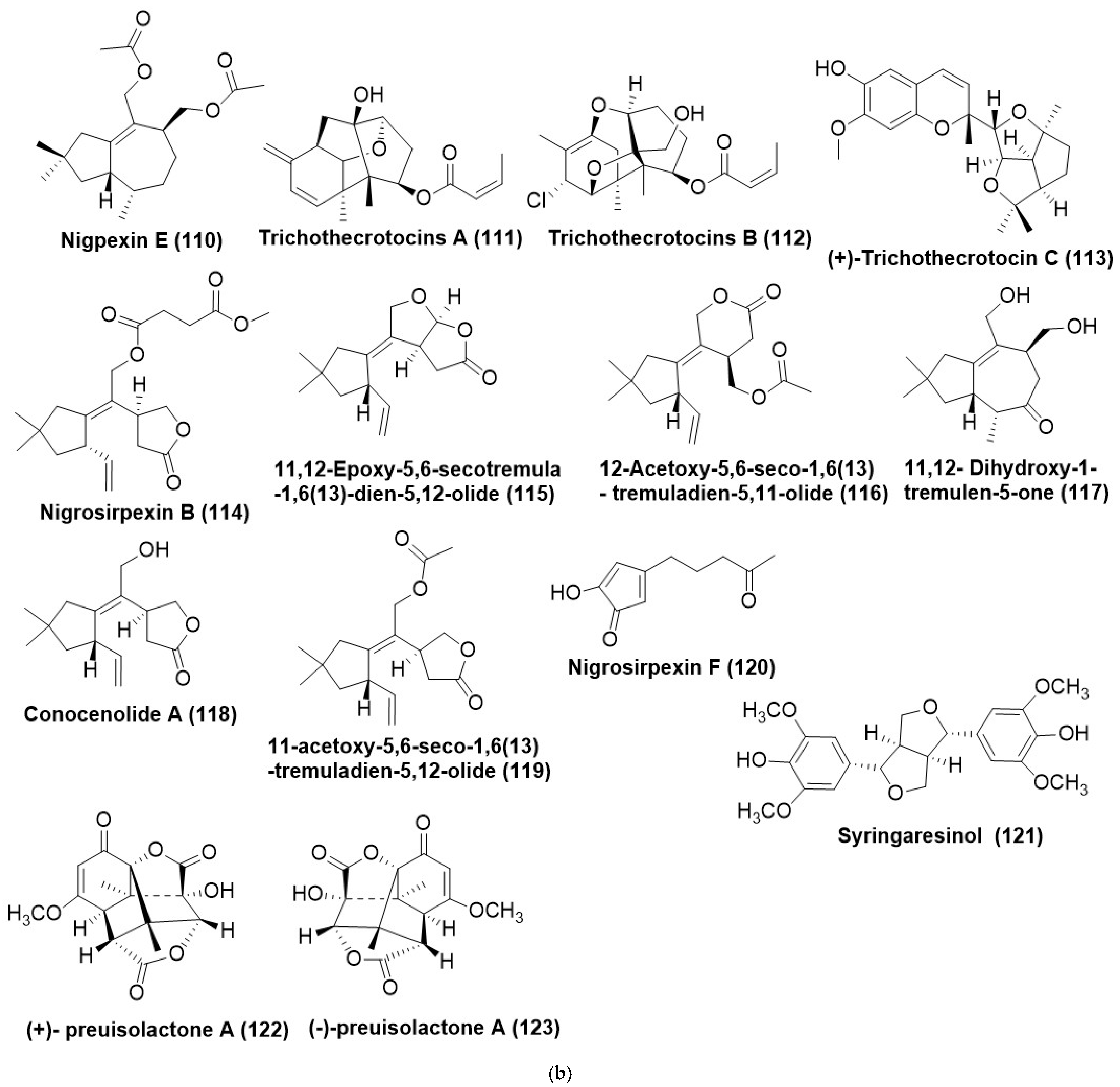 Microorganisms 12 01903 g005c