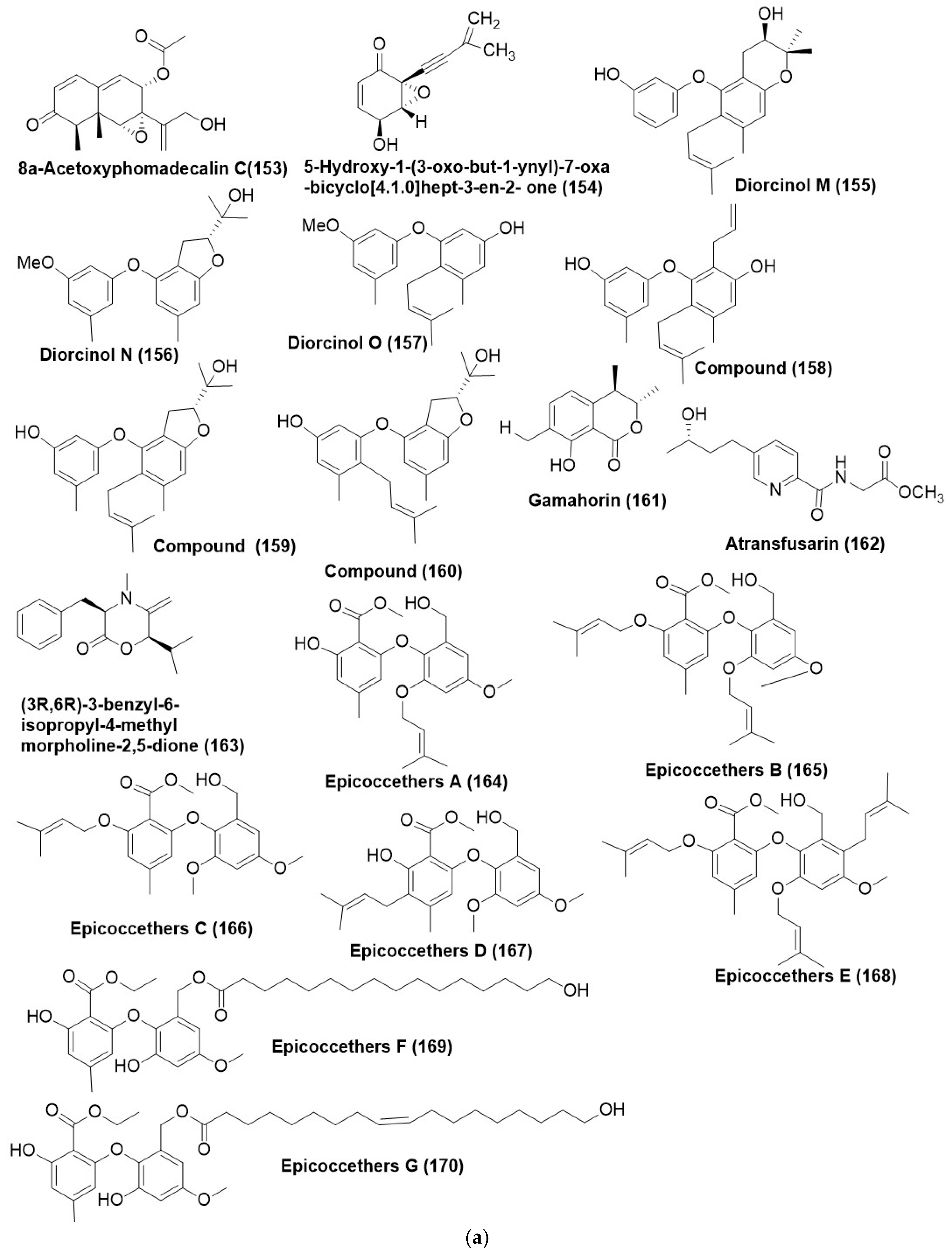 Microorganisms 12 01903 g009a
