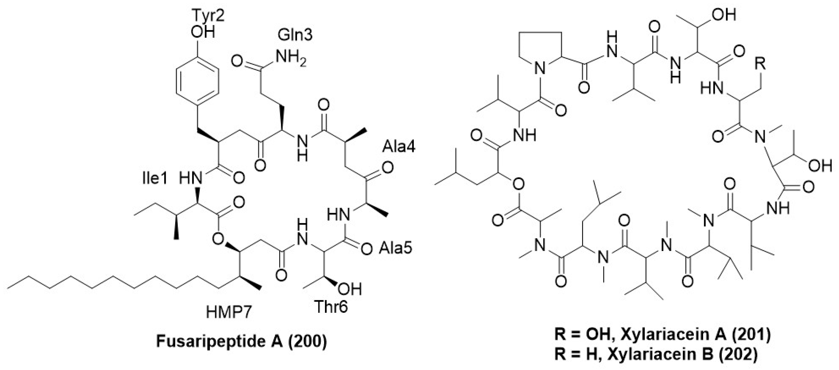 Microorganisms 12 01903 g012