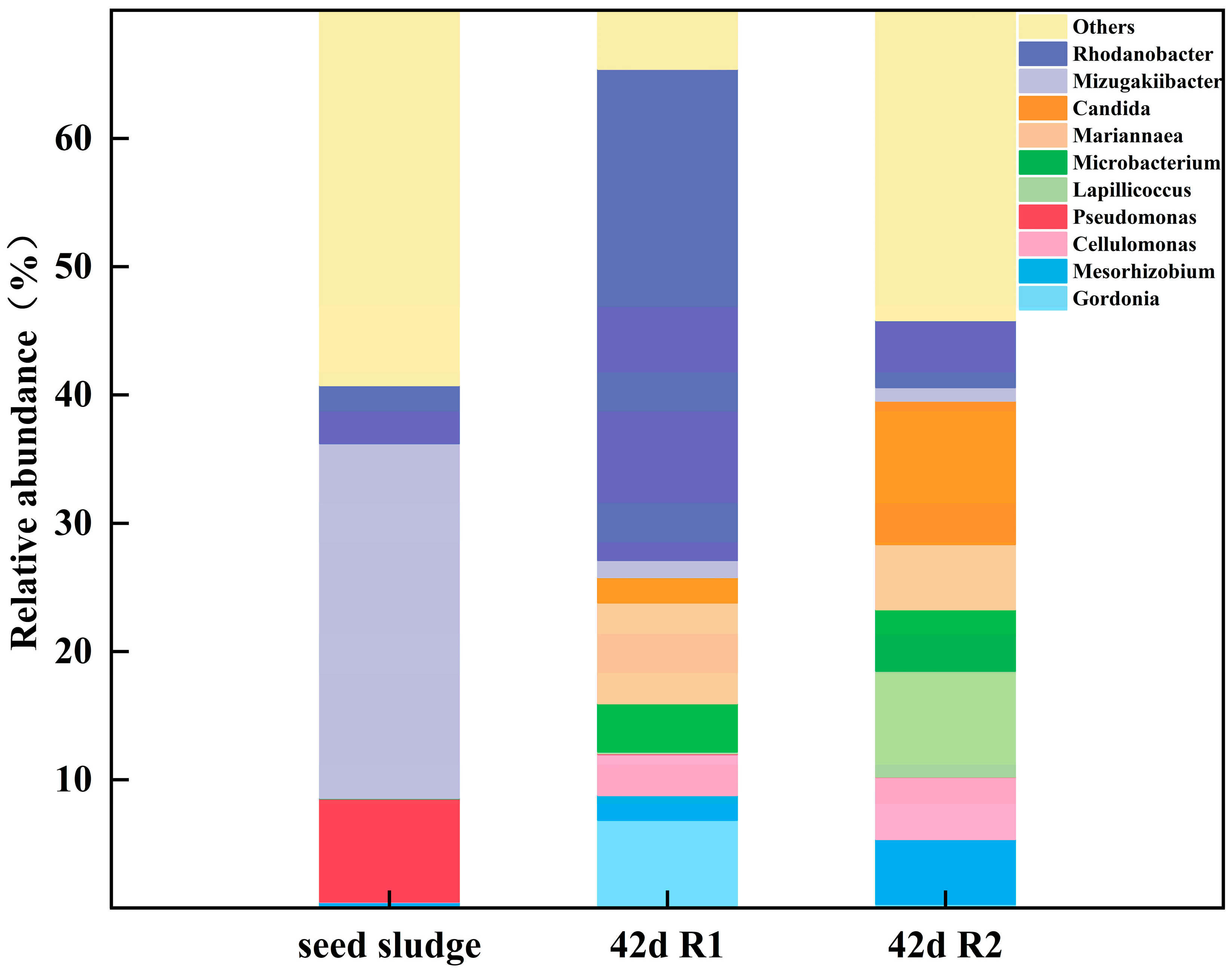 Microorganisms 12 01913 g009