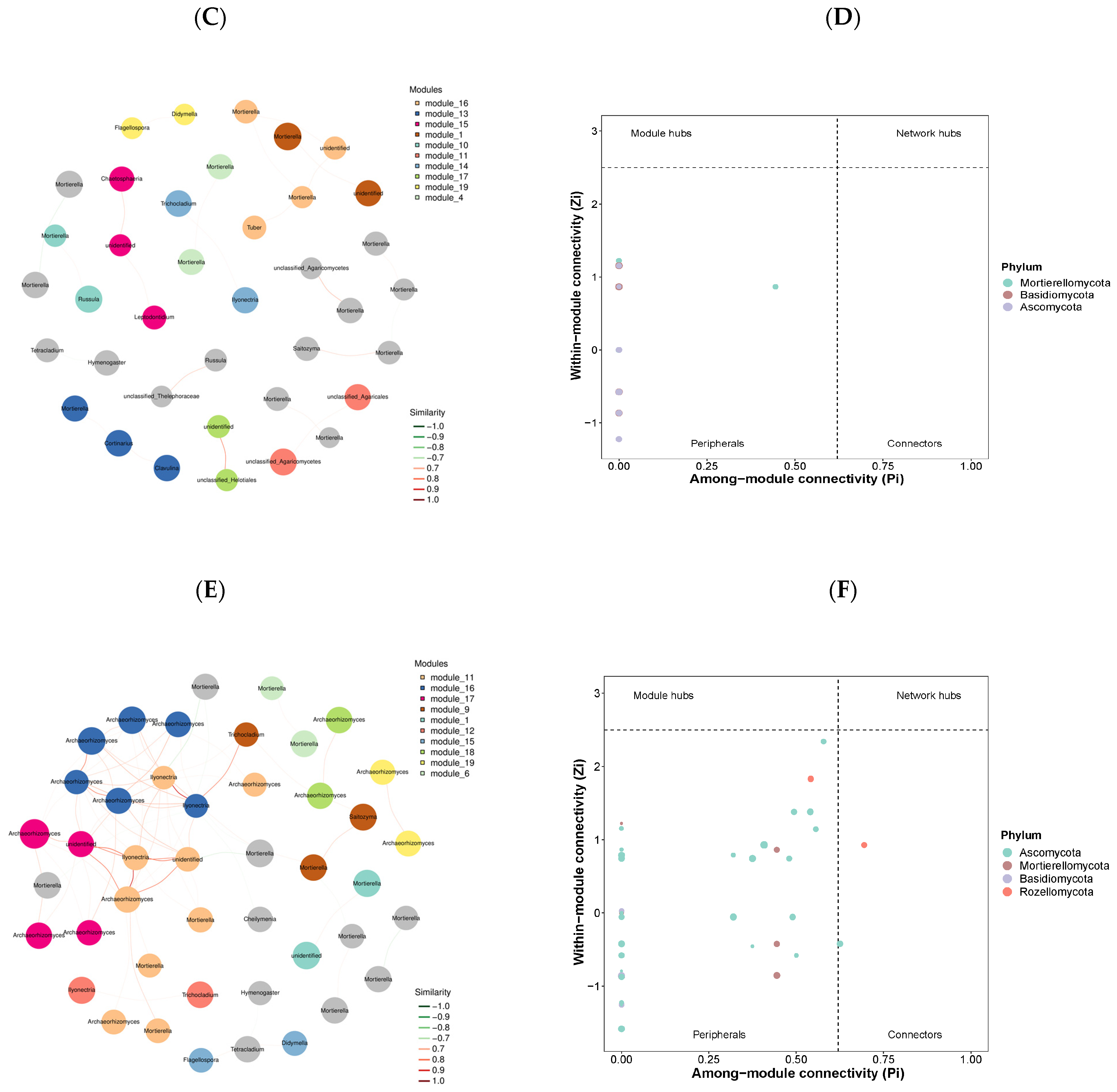 Microorganisms 12 01915 g005b