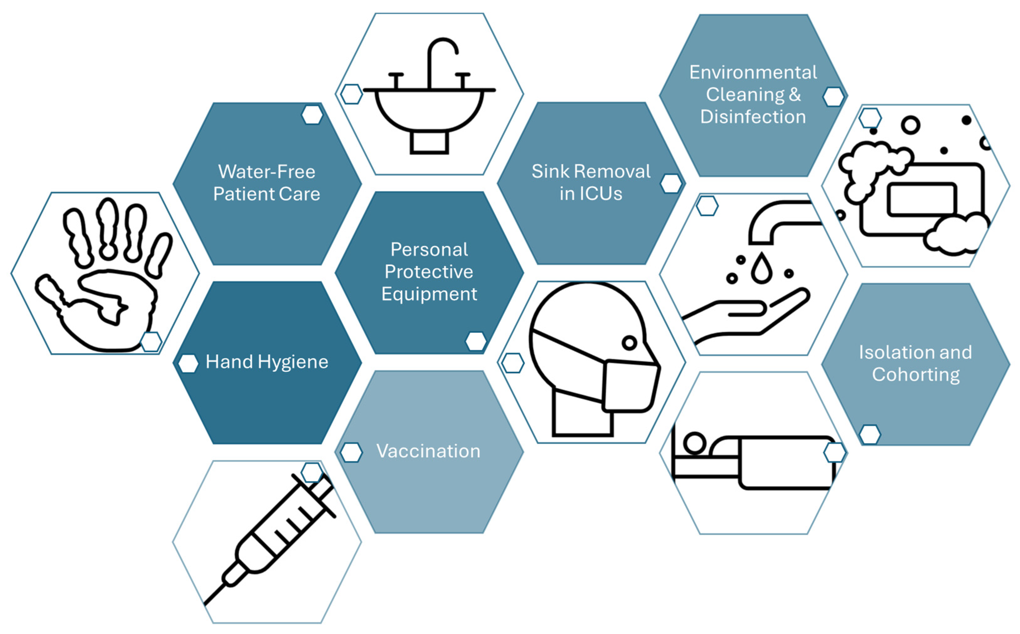 Microorganisms 12 01920 g004