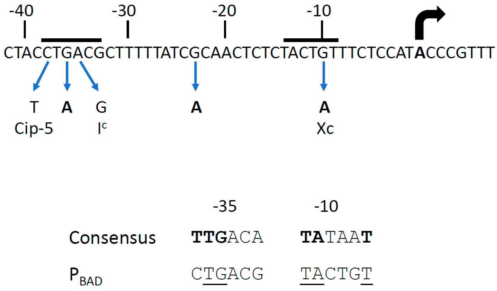Microorganisms 12 01928 g004 Microorganisms 12 01928 g004